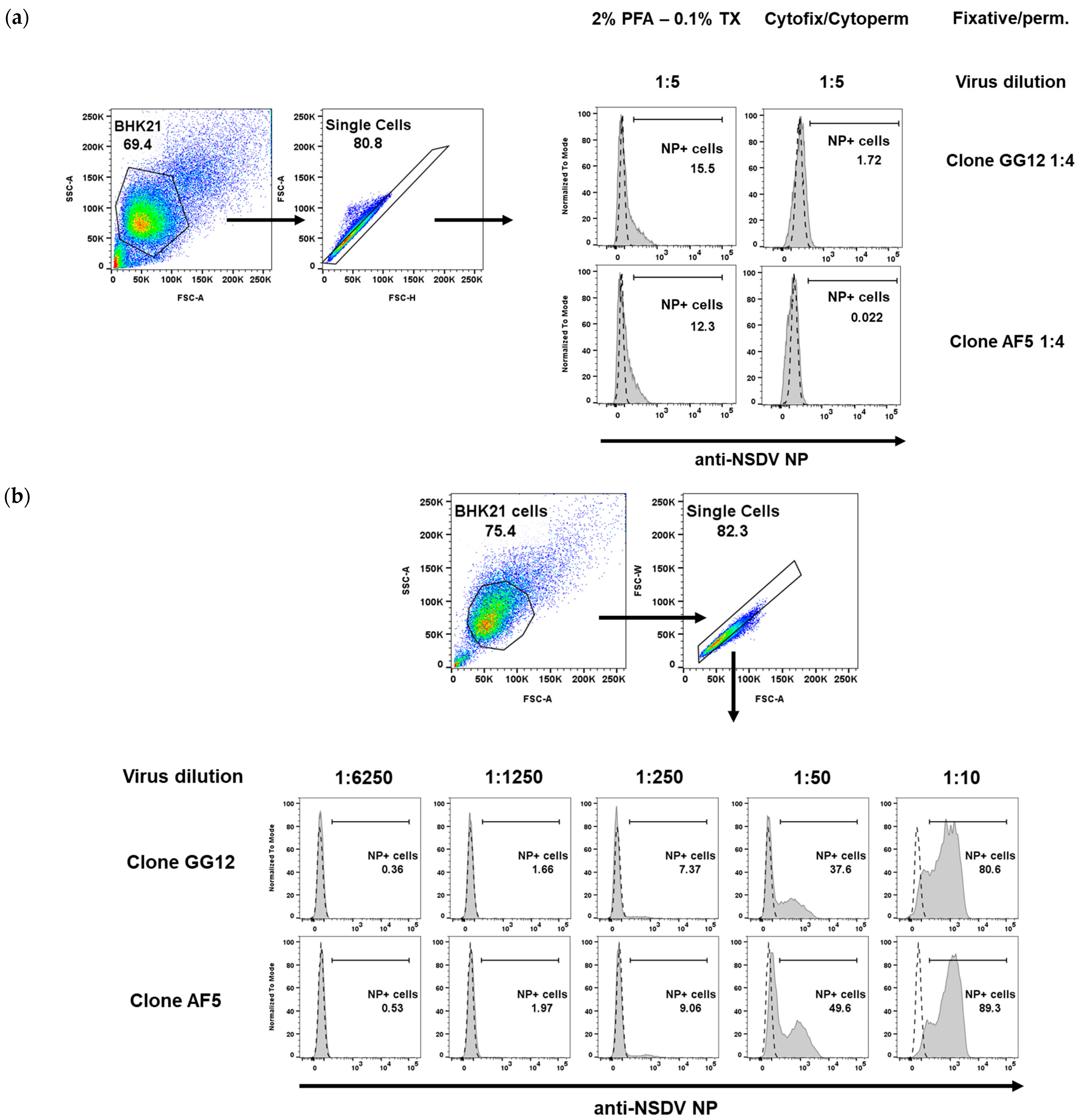 Viruses 15 01876 g003