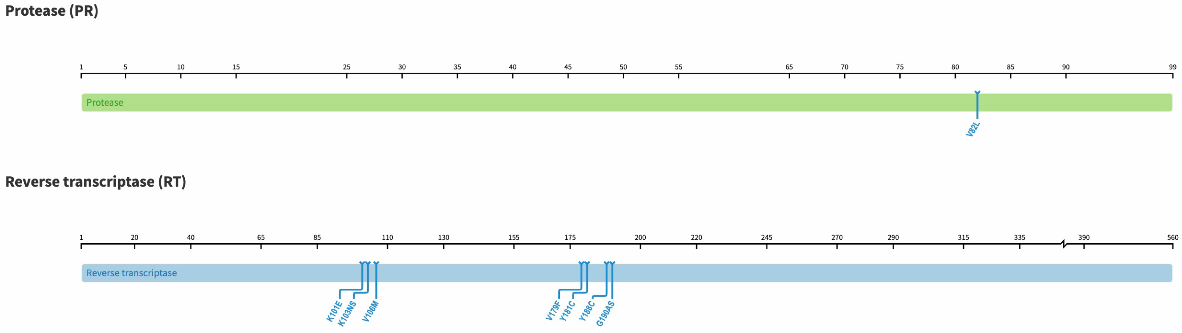 Viruses 15 01882 g001