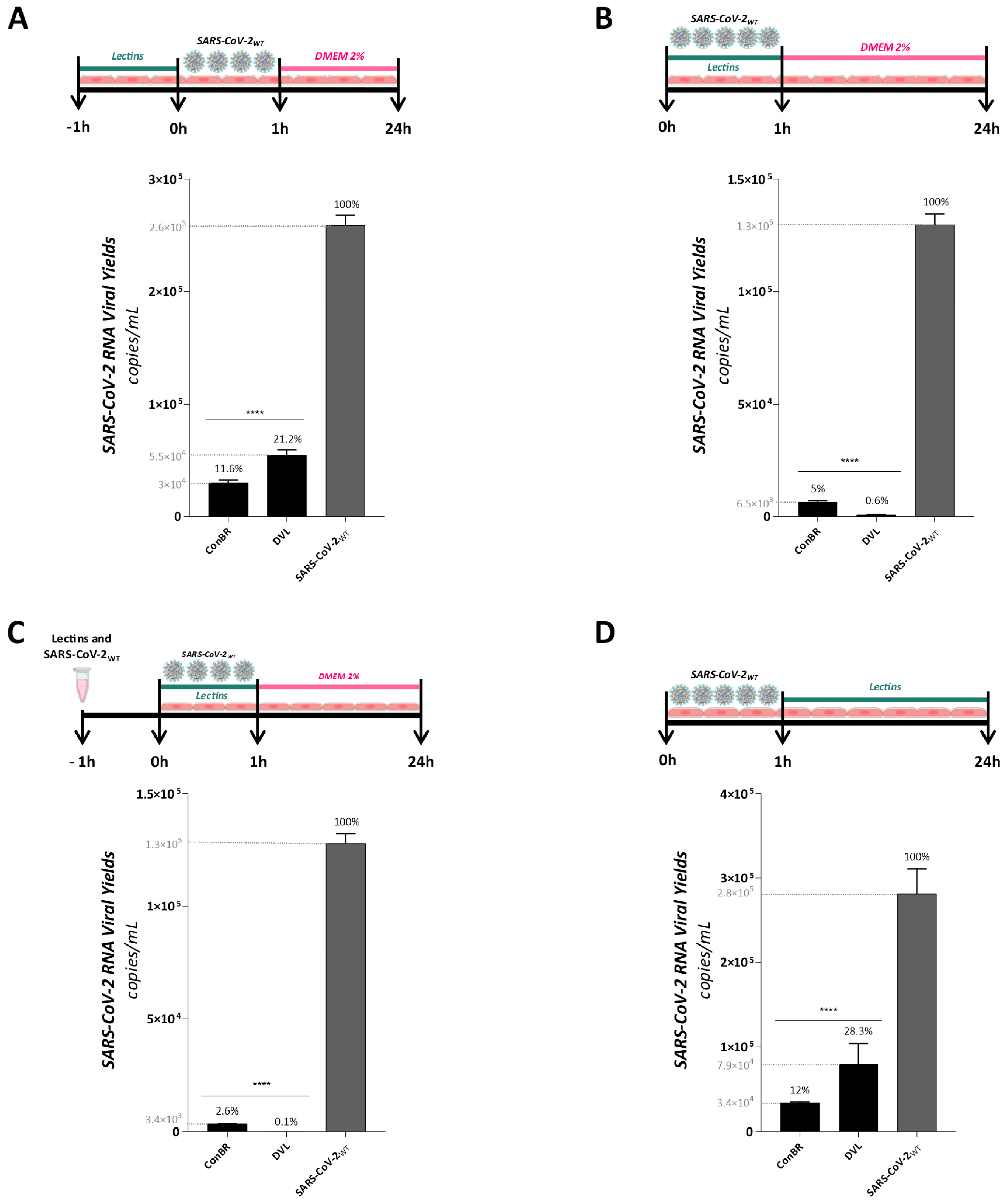 Viruses 15 01886 g006