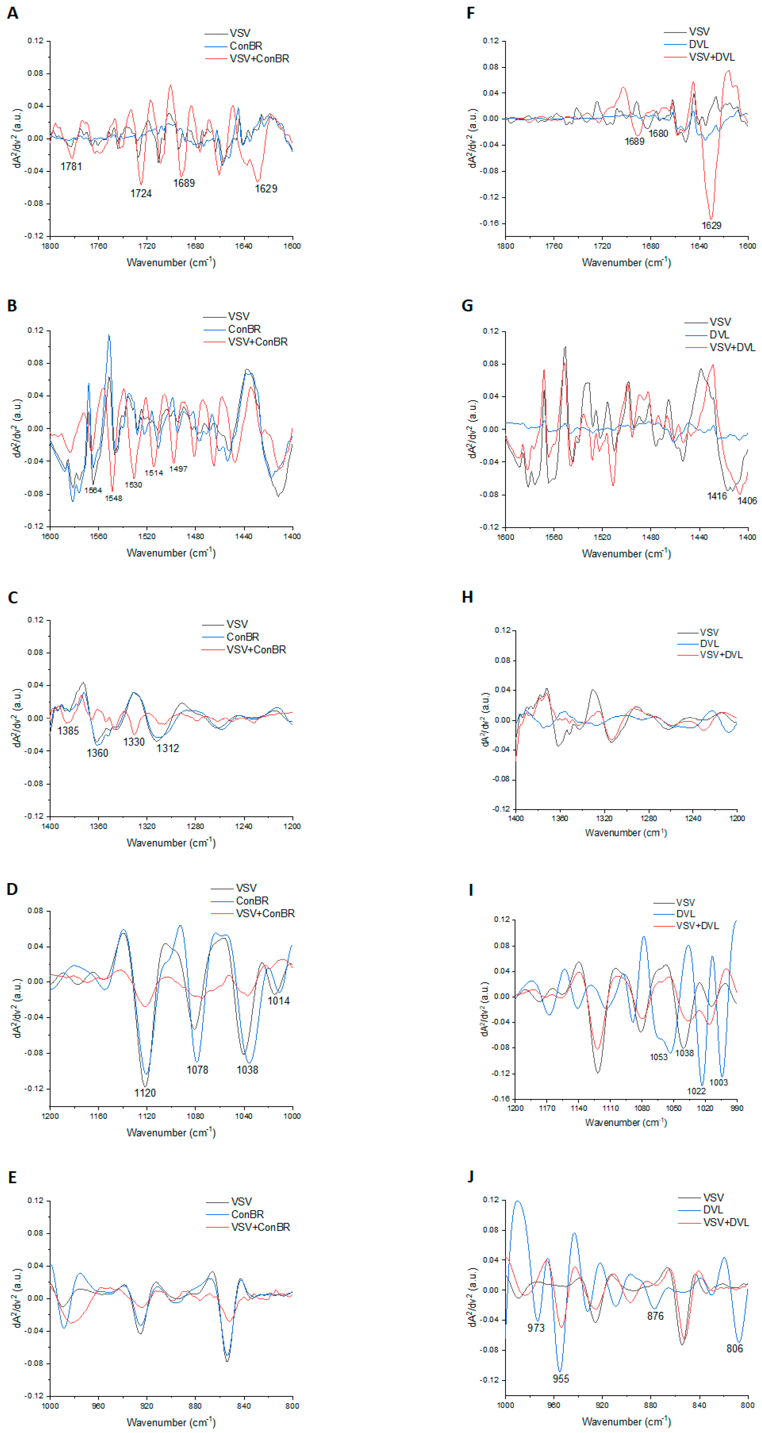 Viruses 15 01886 g008