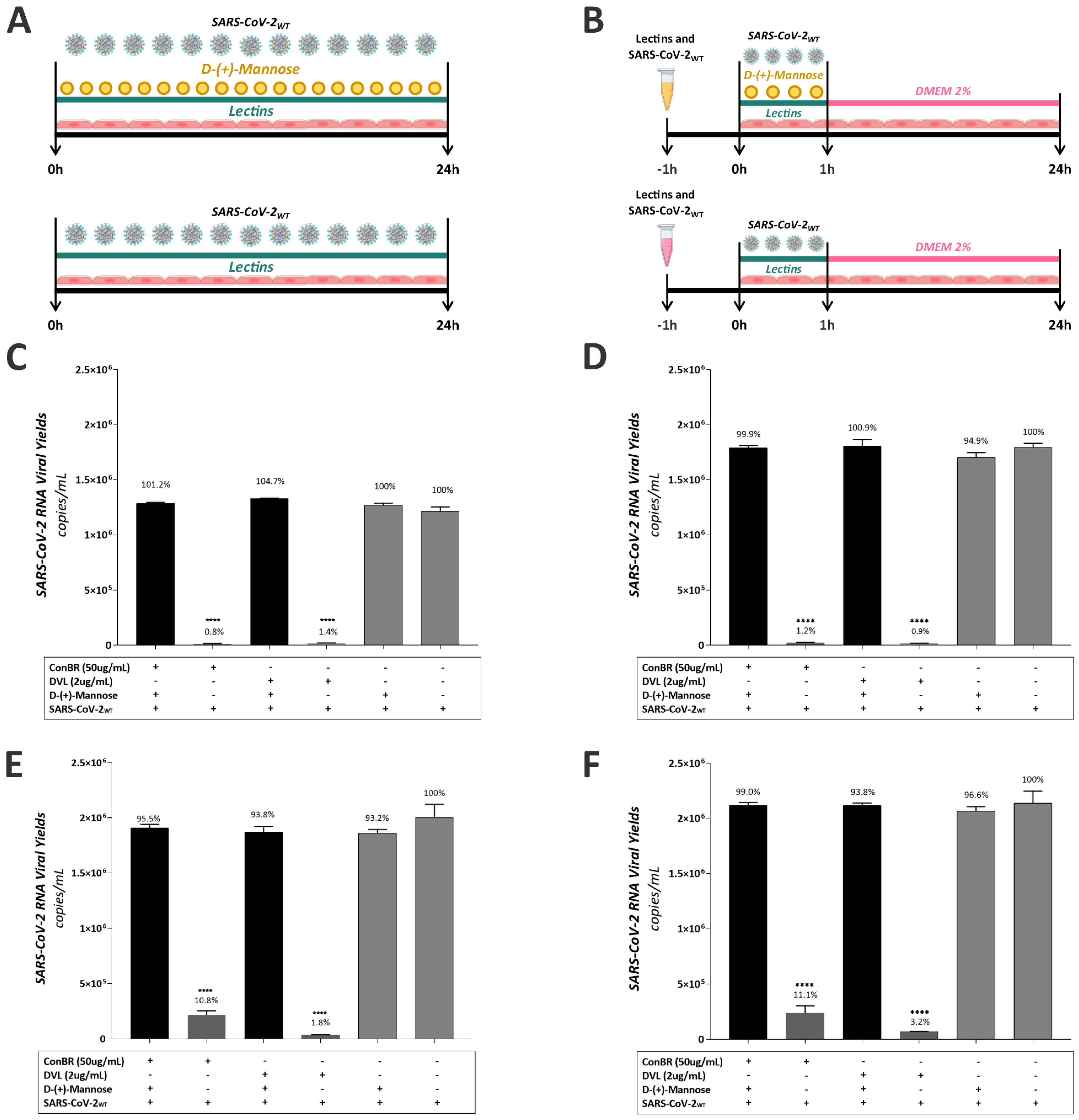 Viruses 15 01886 g009