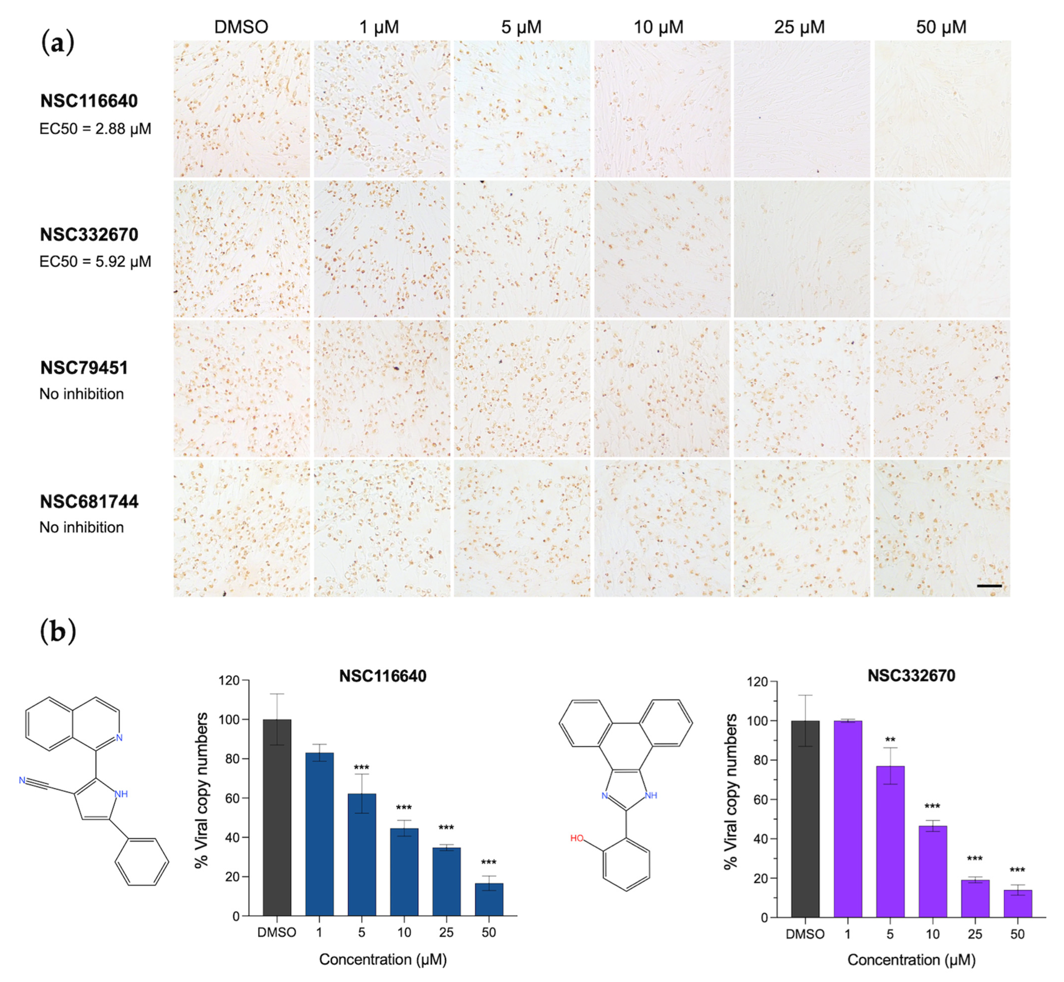 Viruses 15 01887 g001