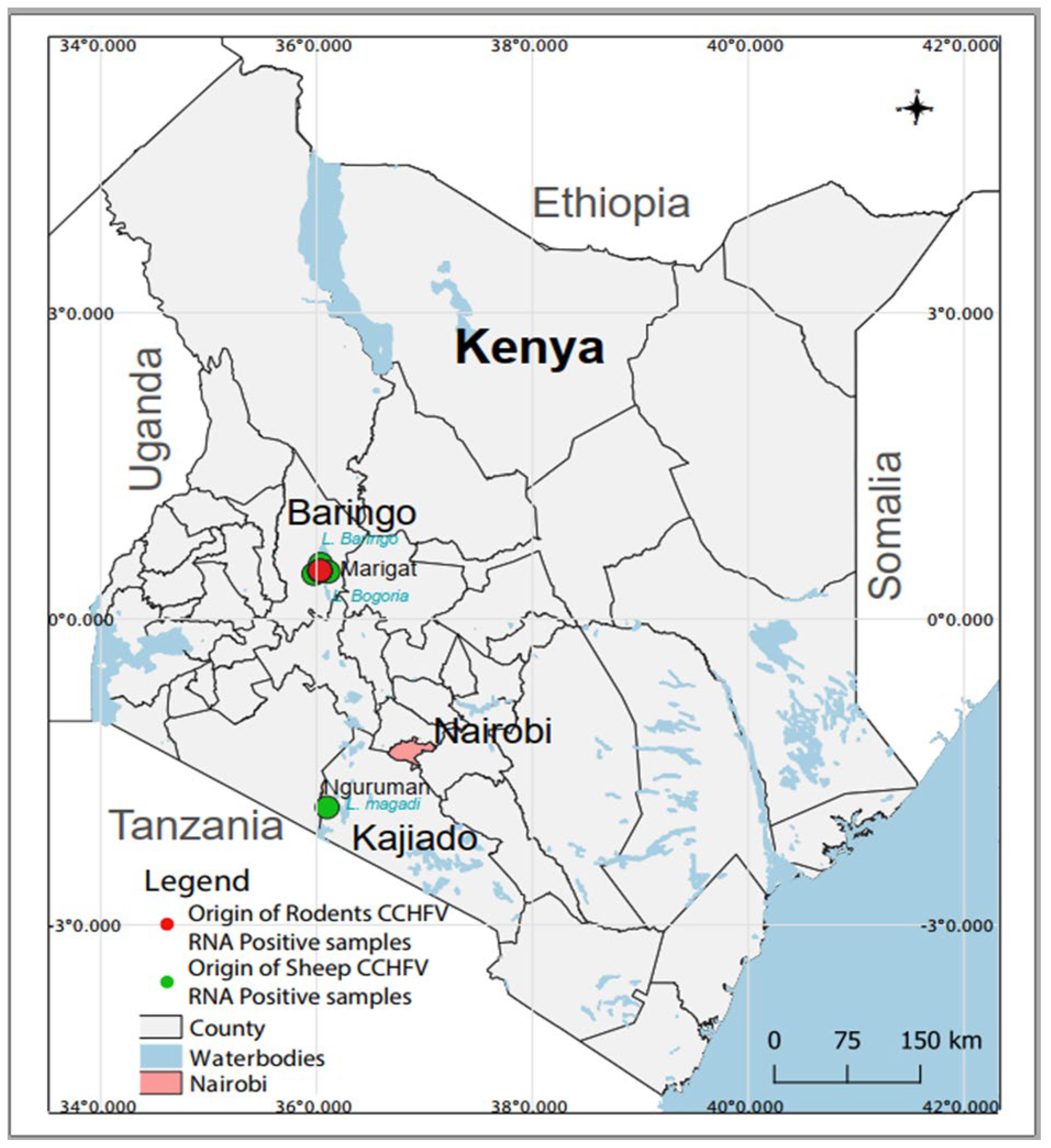 Viruses 15 01891 g001