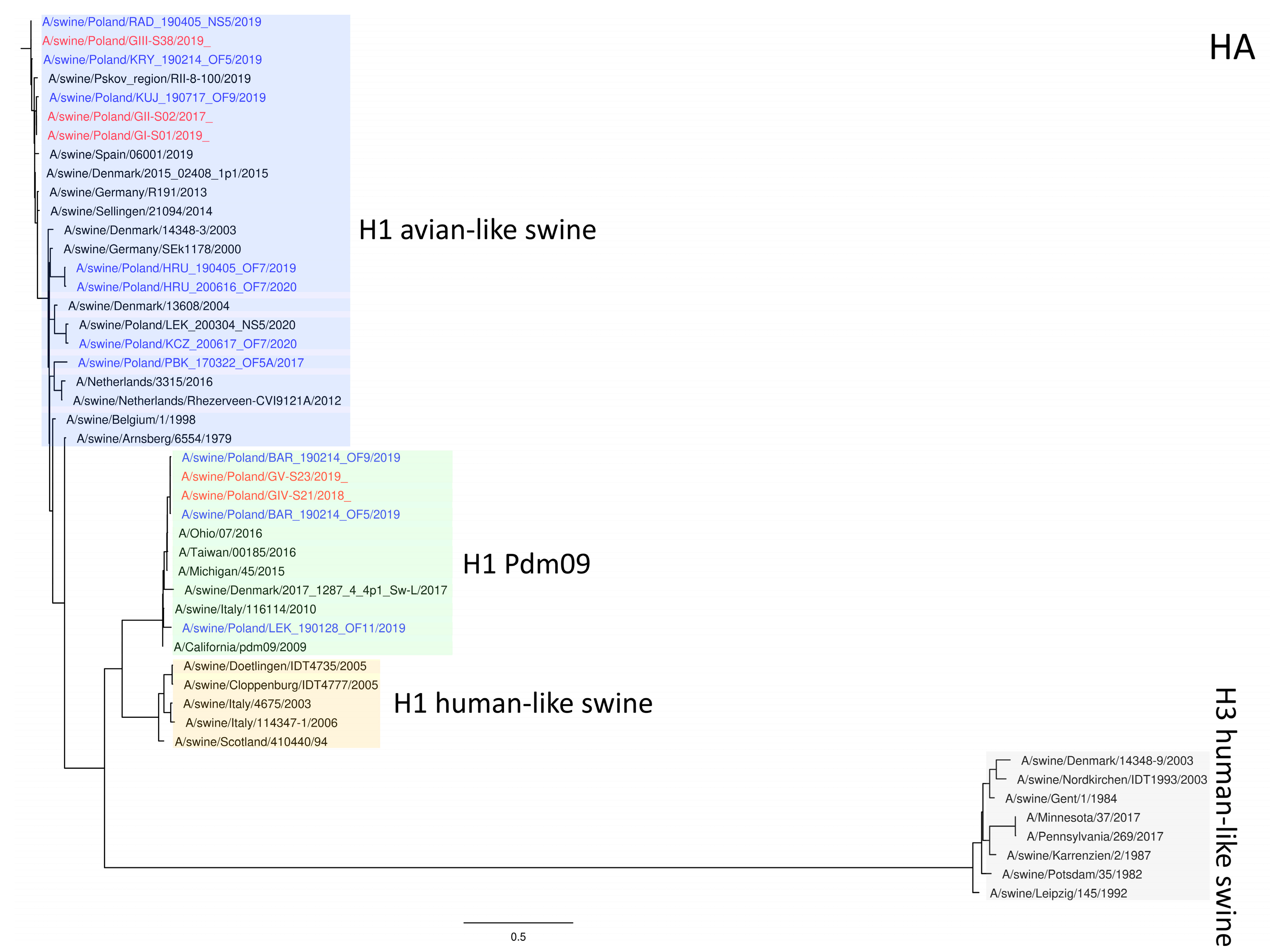 Viruses 15 01893 g001 Viruses 15 01893 g001