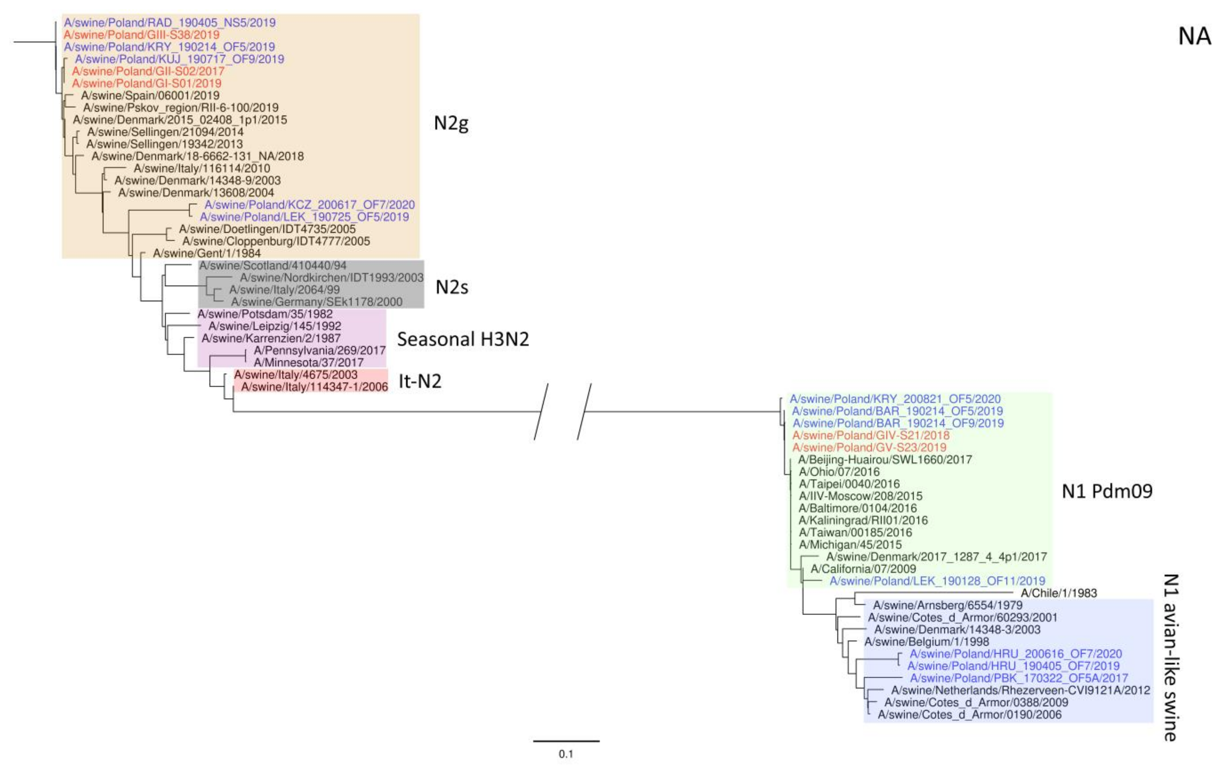 Viruses 15 01893 g002 Viruses 15 01893 g002