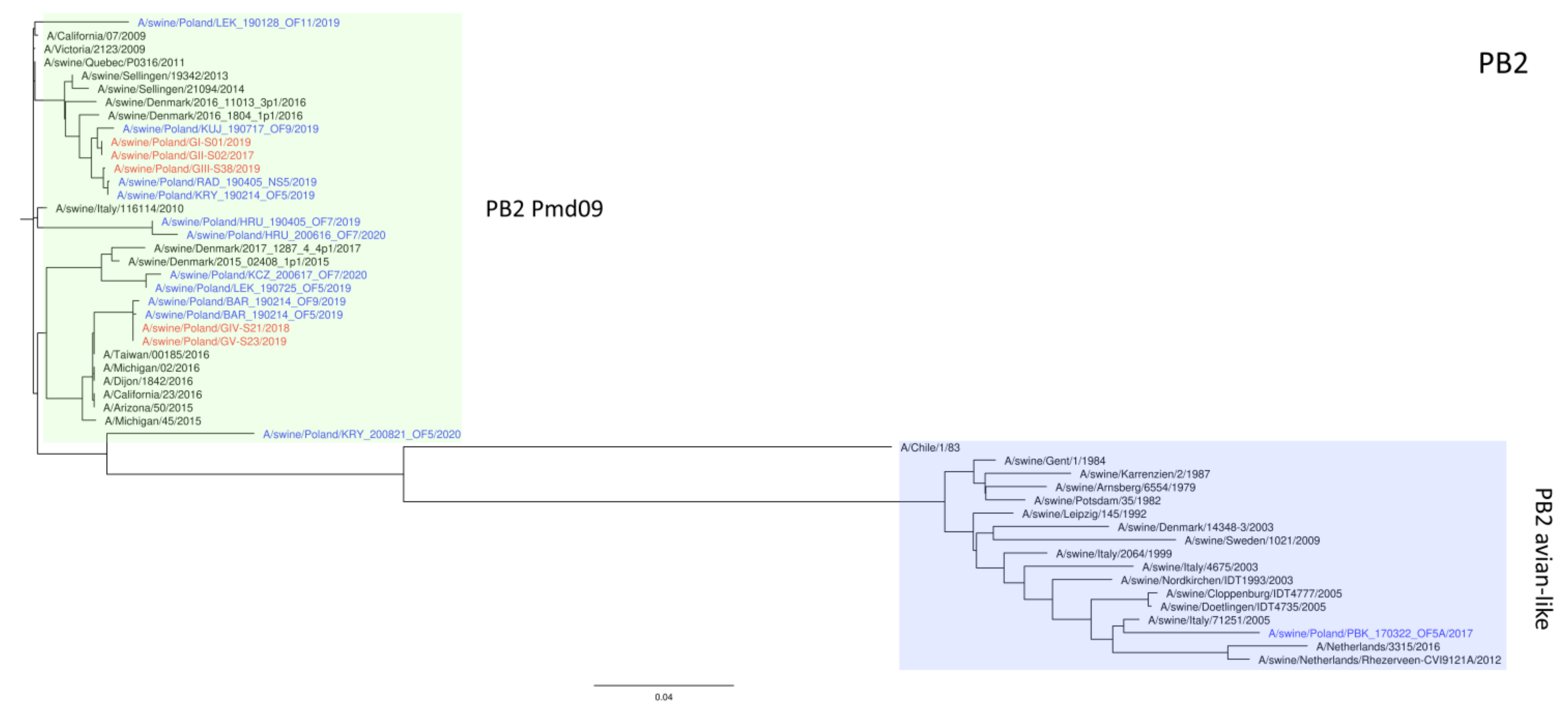 Viruses 15 01893 g003 Viruses 15 01893 g003
