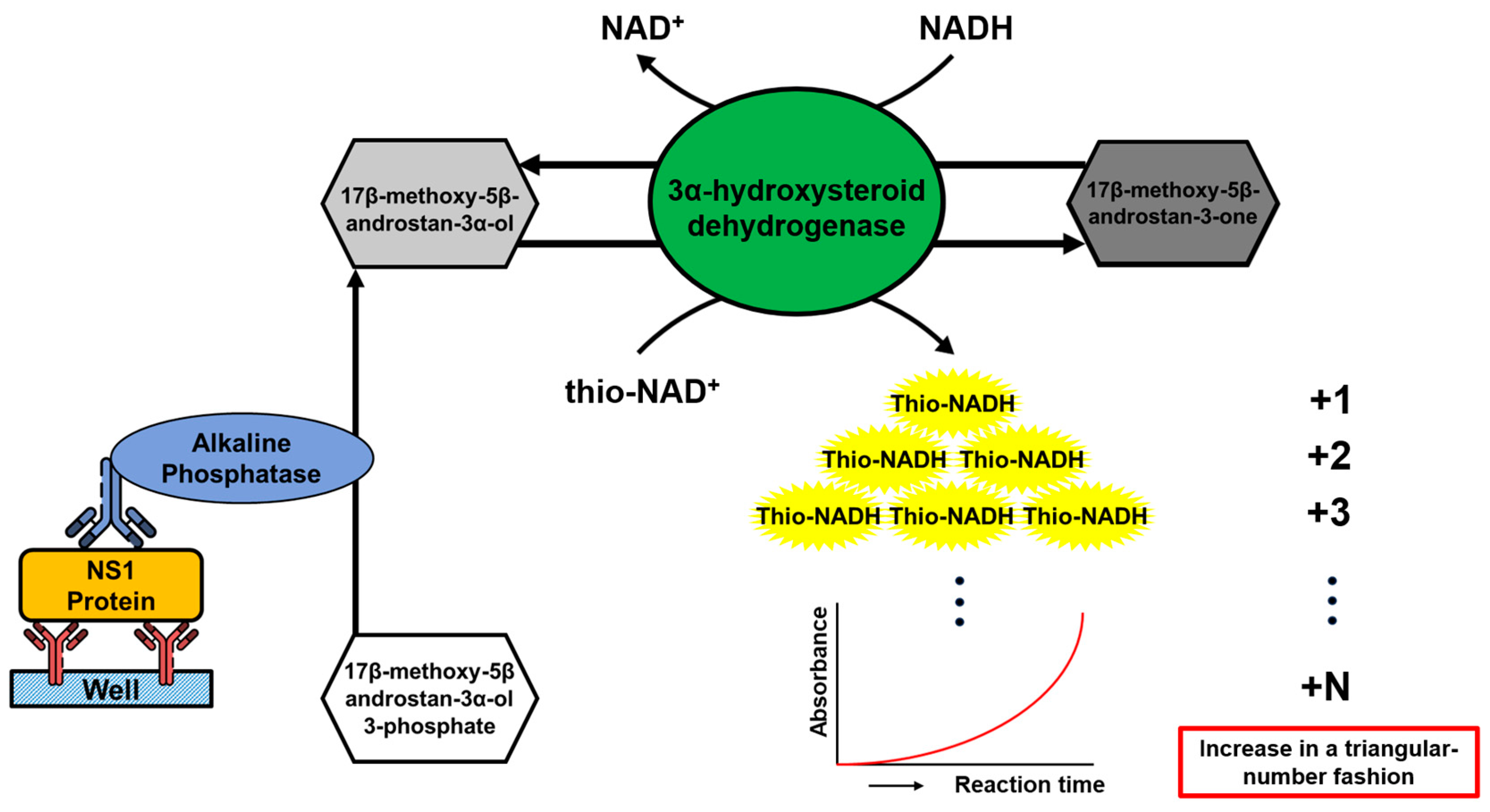 Viruses 15 01894 g001