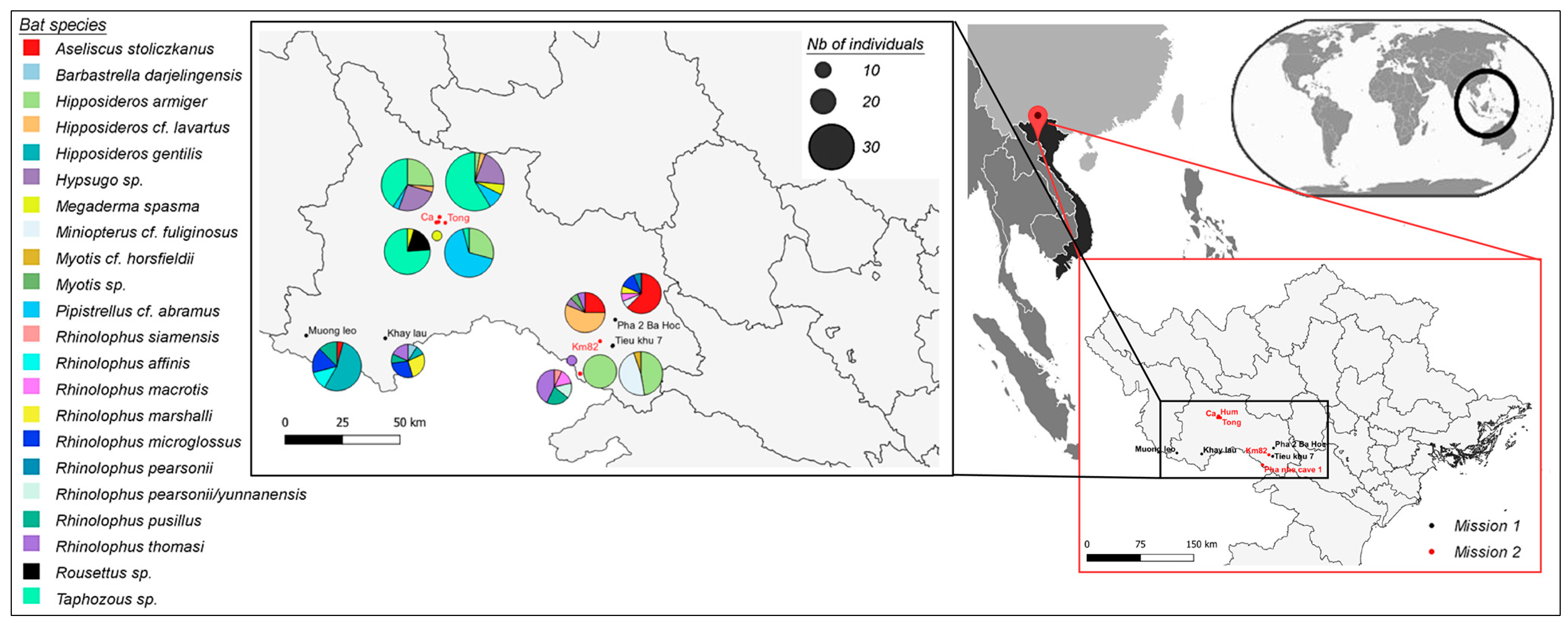 Viruses 15 01897 g001
