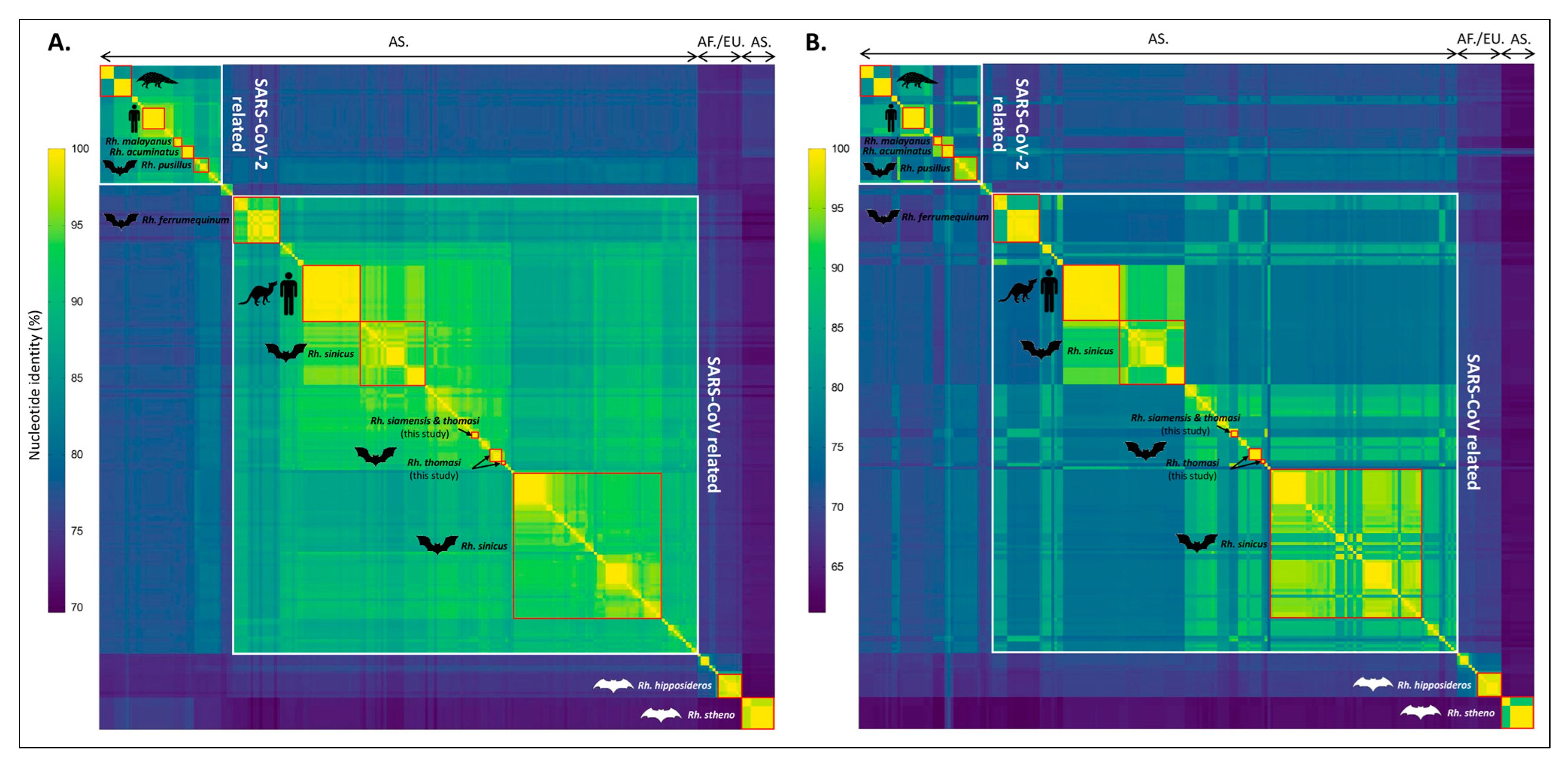 Viruses 15 01897 g003