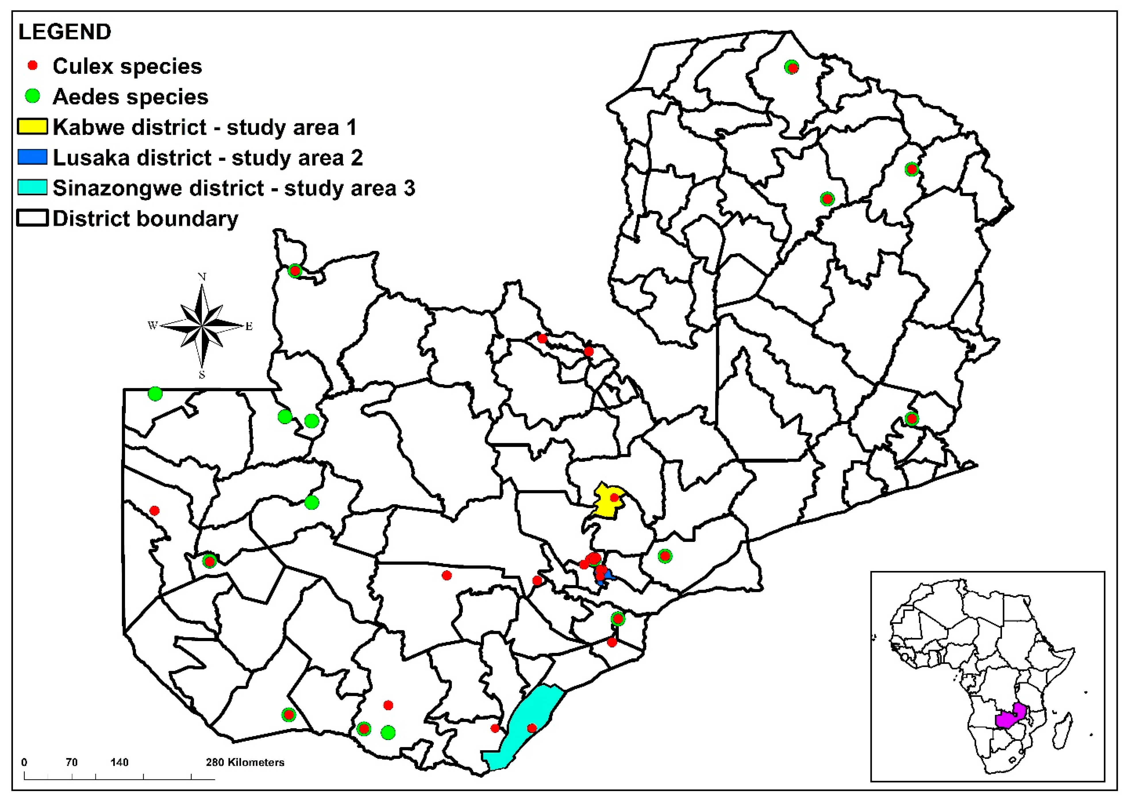 Viruses 15 01900 g001