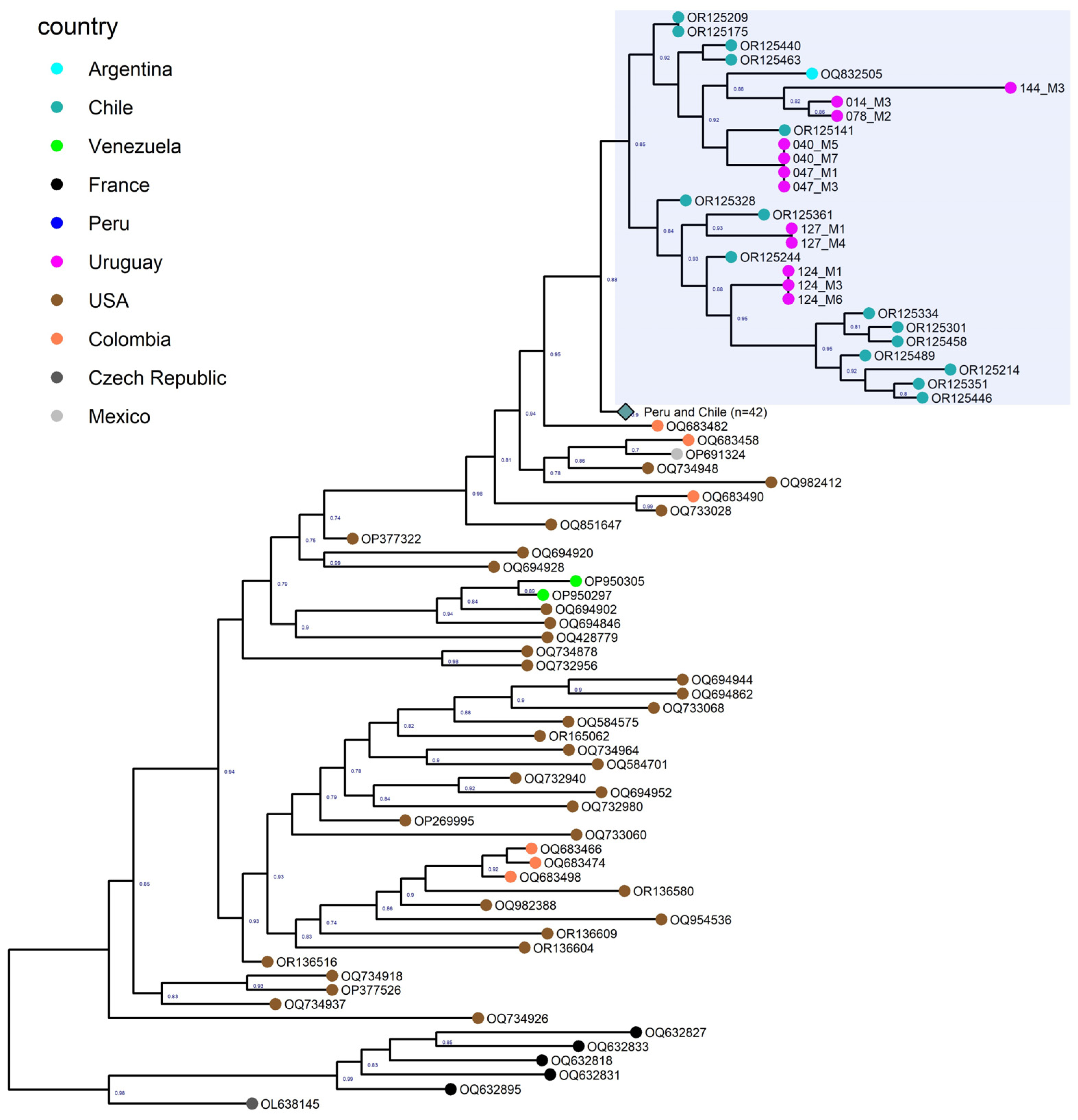 Viruses 15 01906 g001