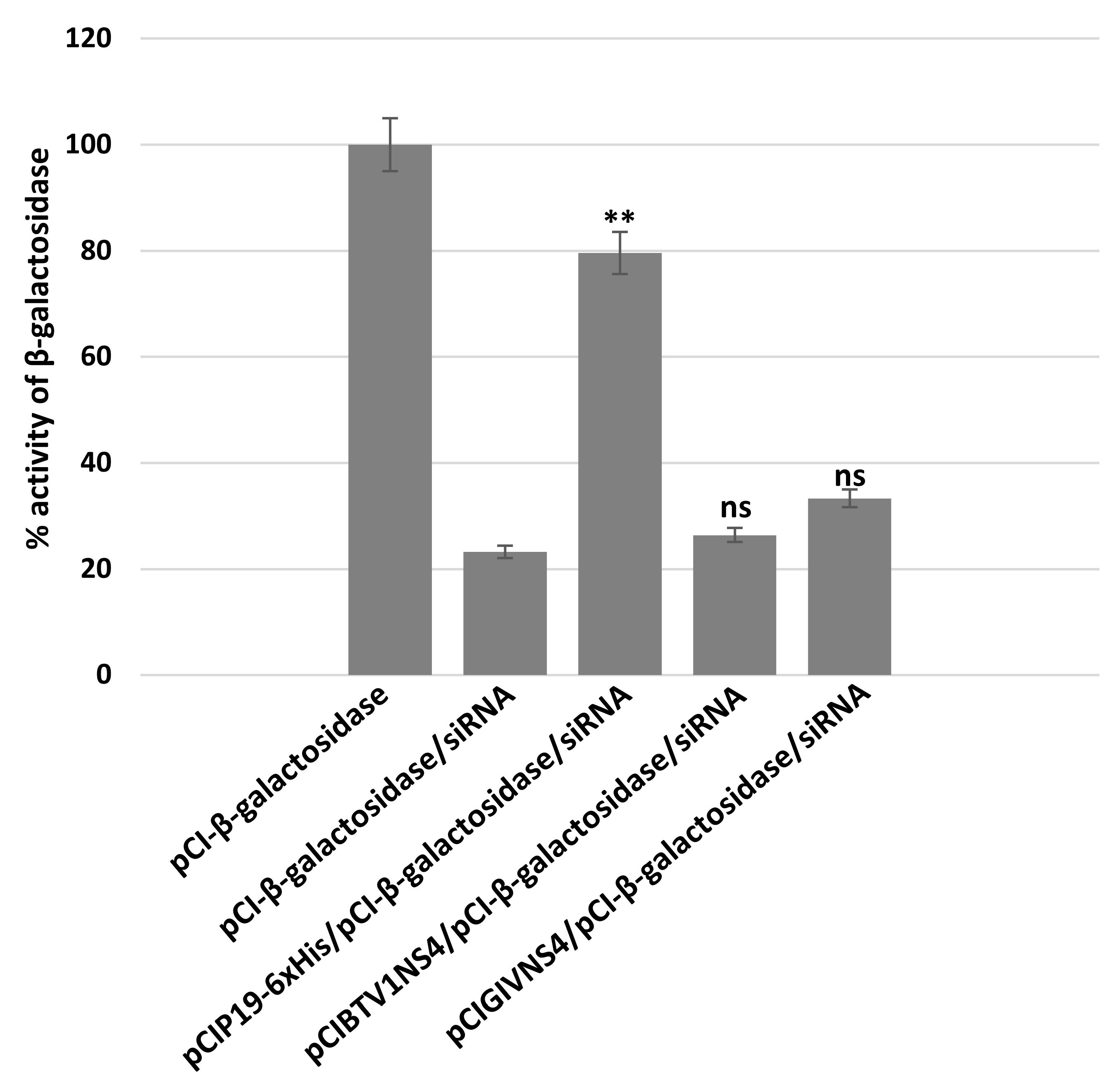 Viruses 15 01908 g009 Viruses 15 01908 g009