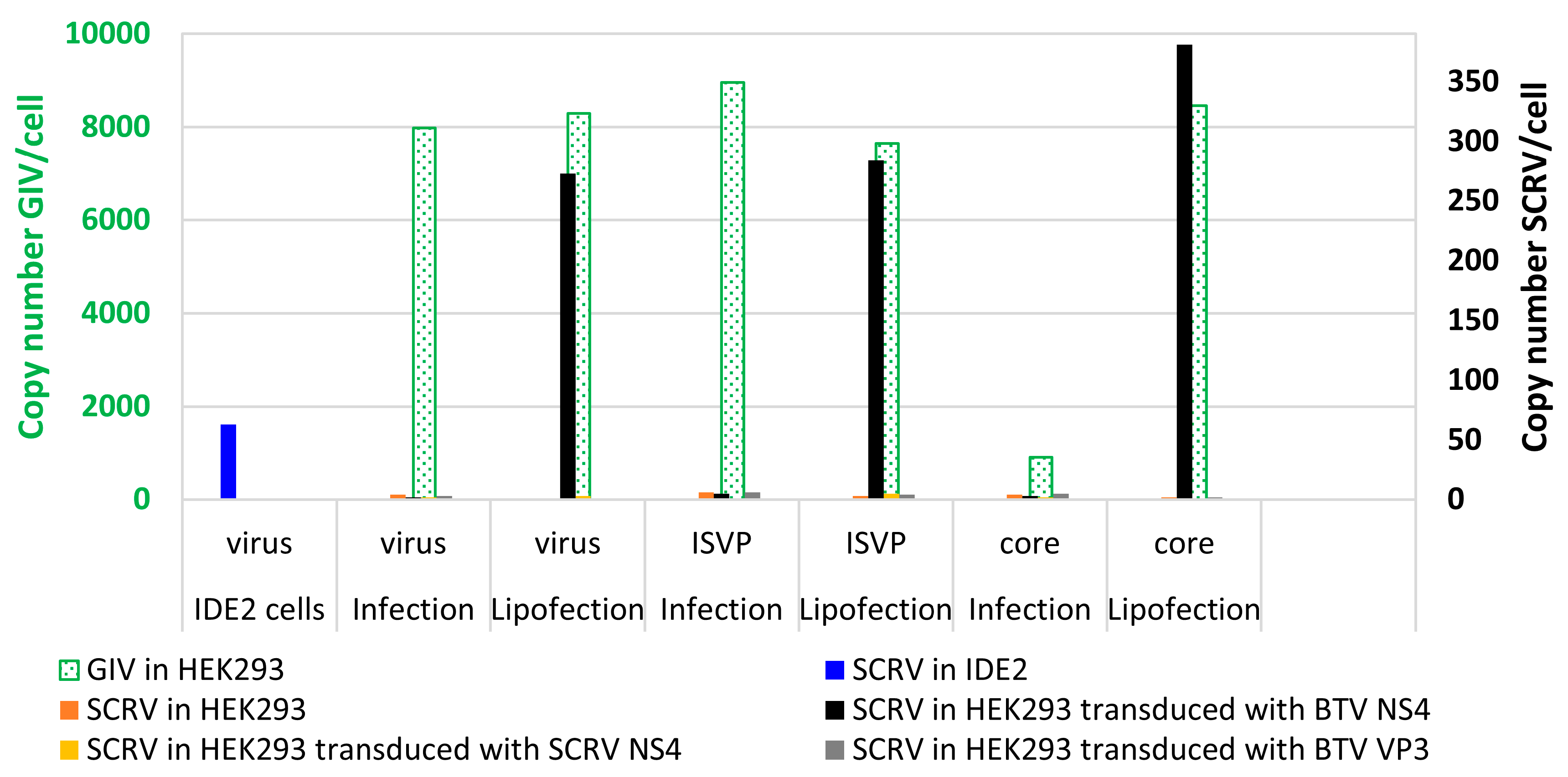 Viruses 15 01908 g011 Viruses 15 01908 g011