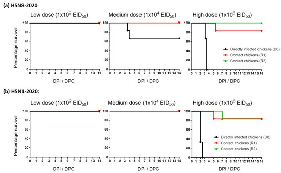 シルバ Different Outcomes of Chicken Infection with UK-Origin H5N1