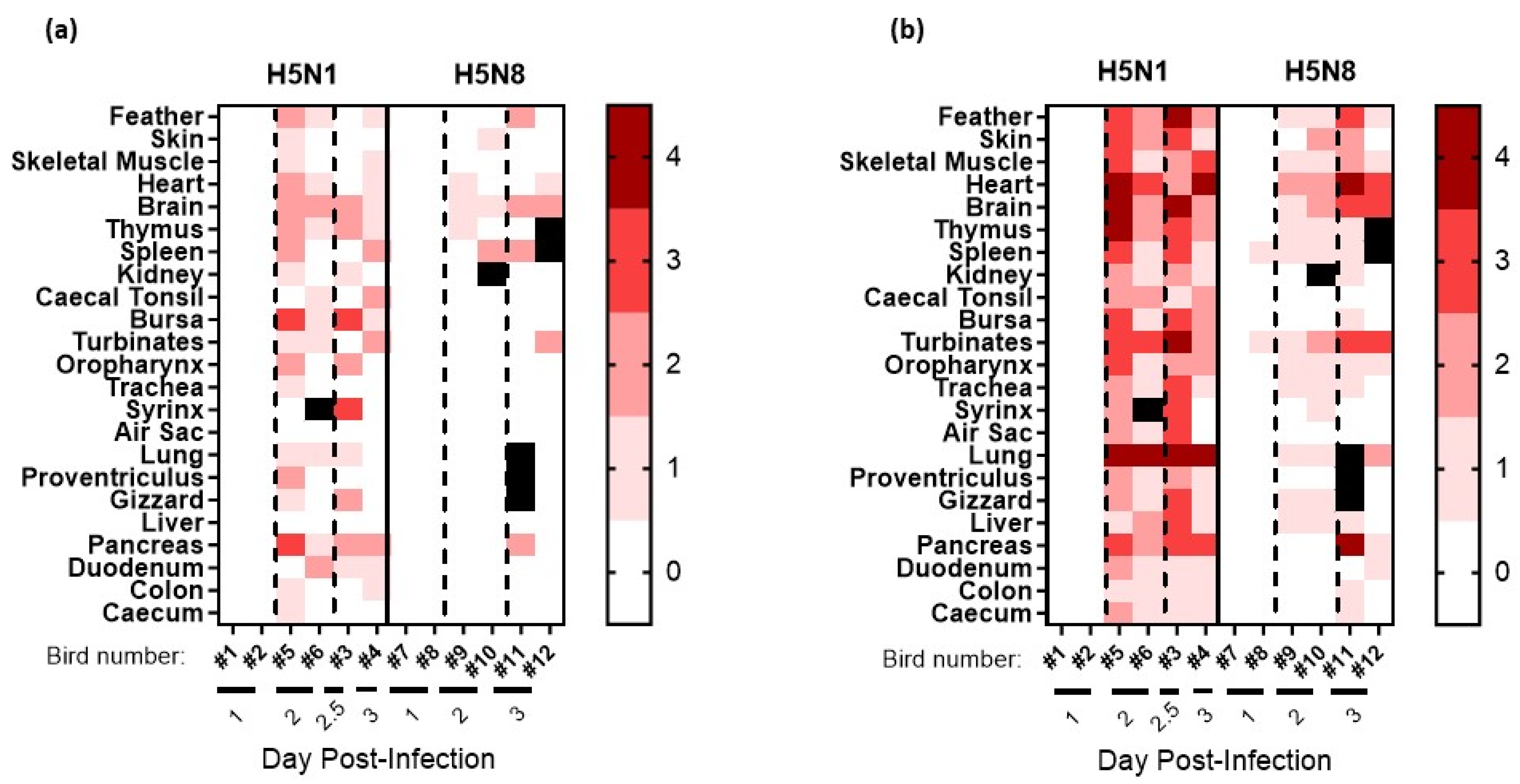 Viruses 15 01909 g004