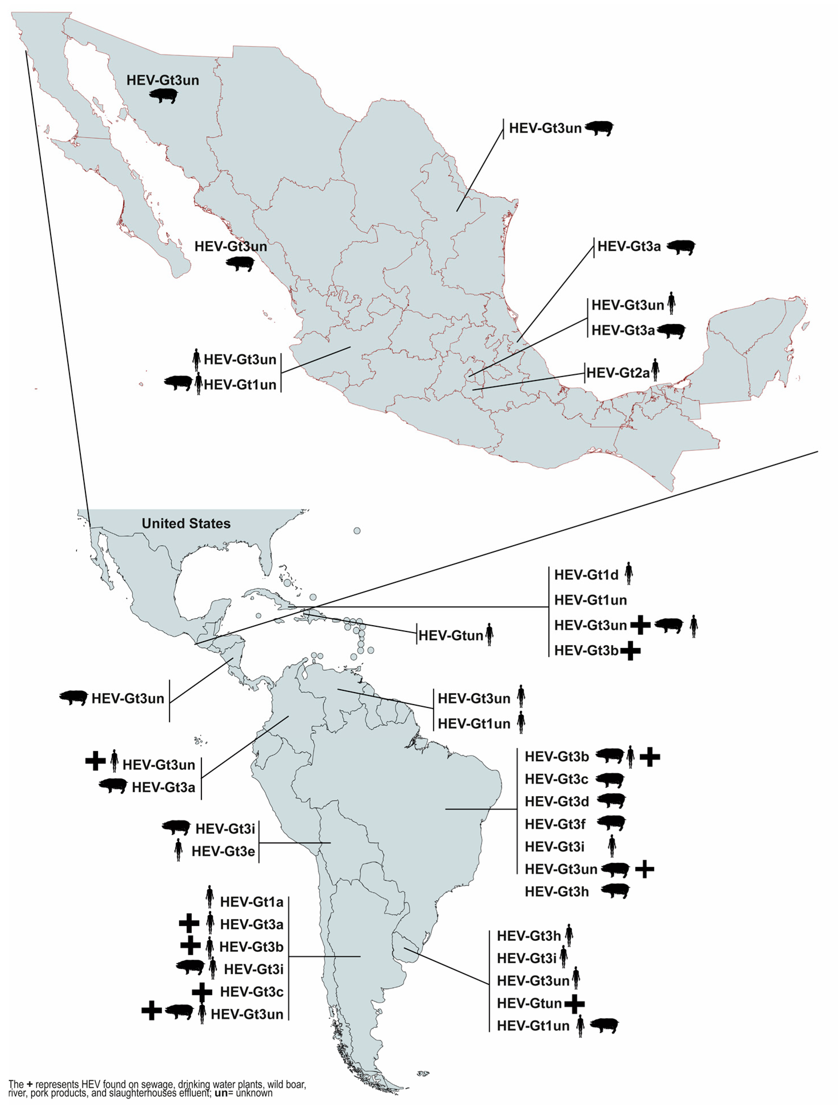 Viruses 15 01911 g002