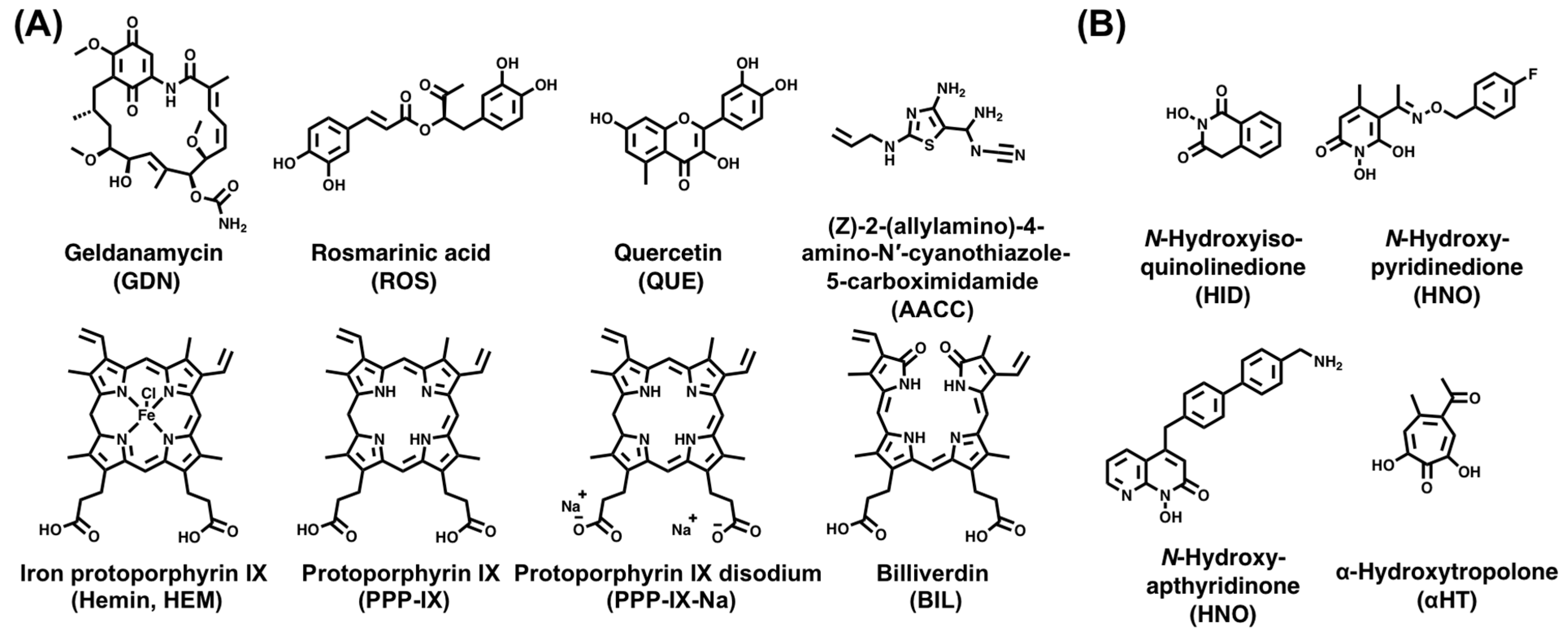 Viruses 15 01913 g006 Viruses 15 01913 g006