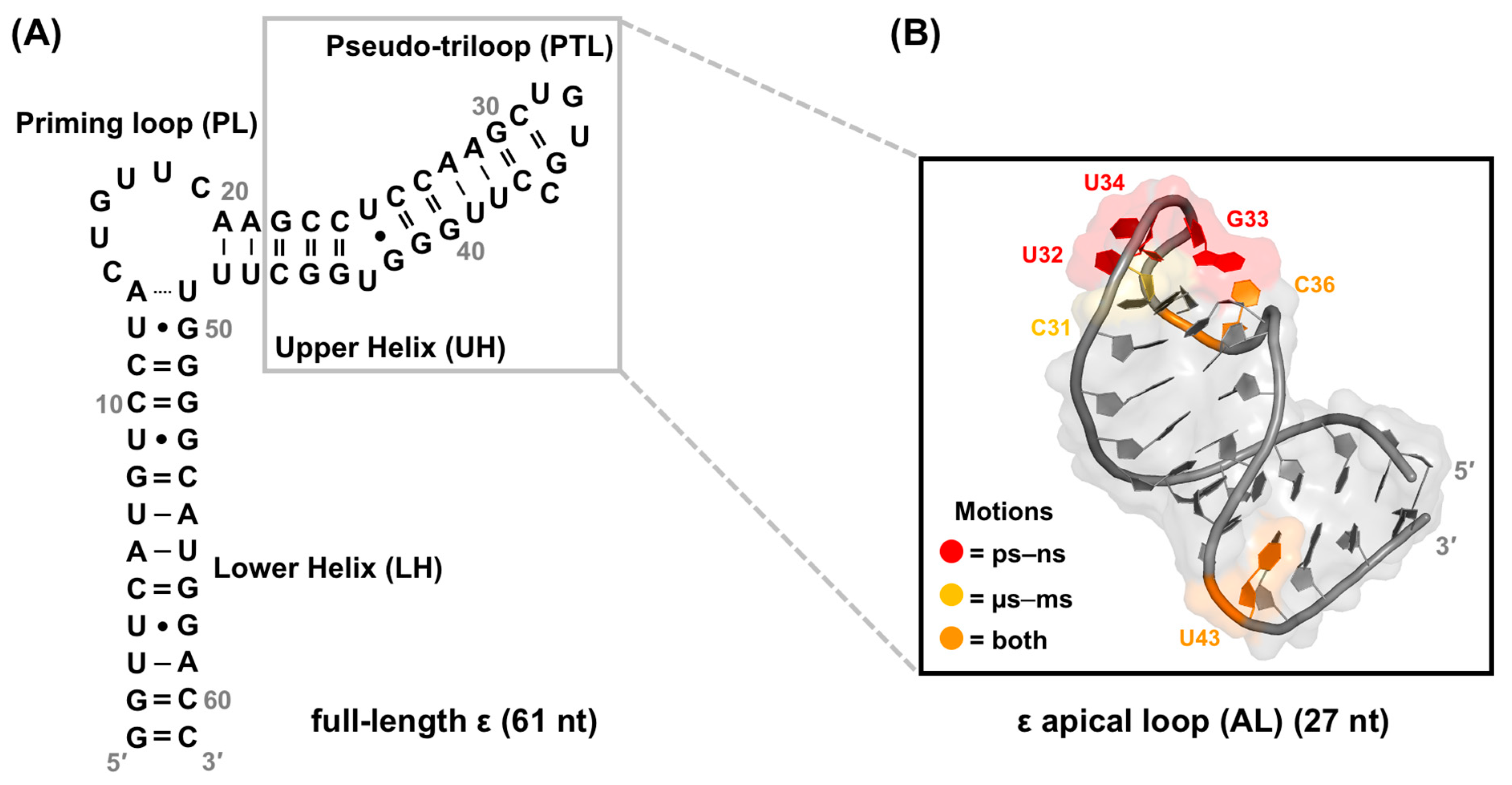 Viruses 15 01913 g007 Viruses 15 01913 g007