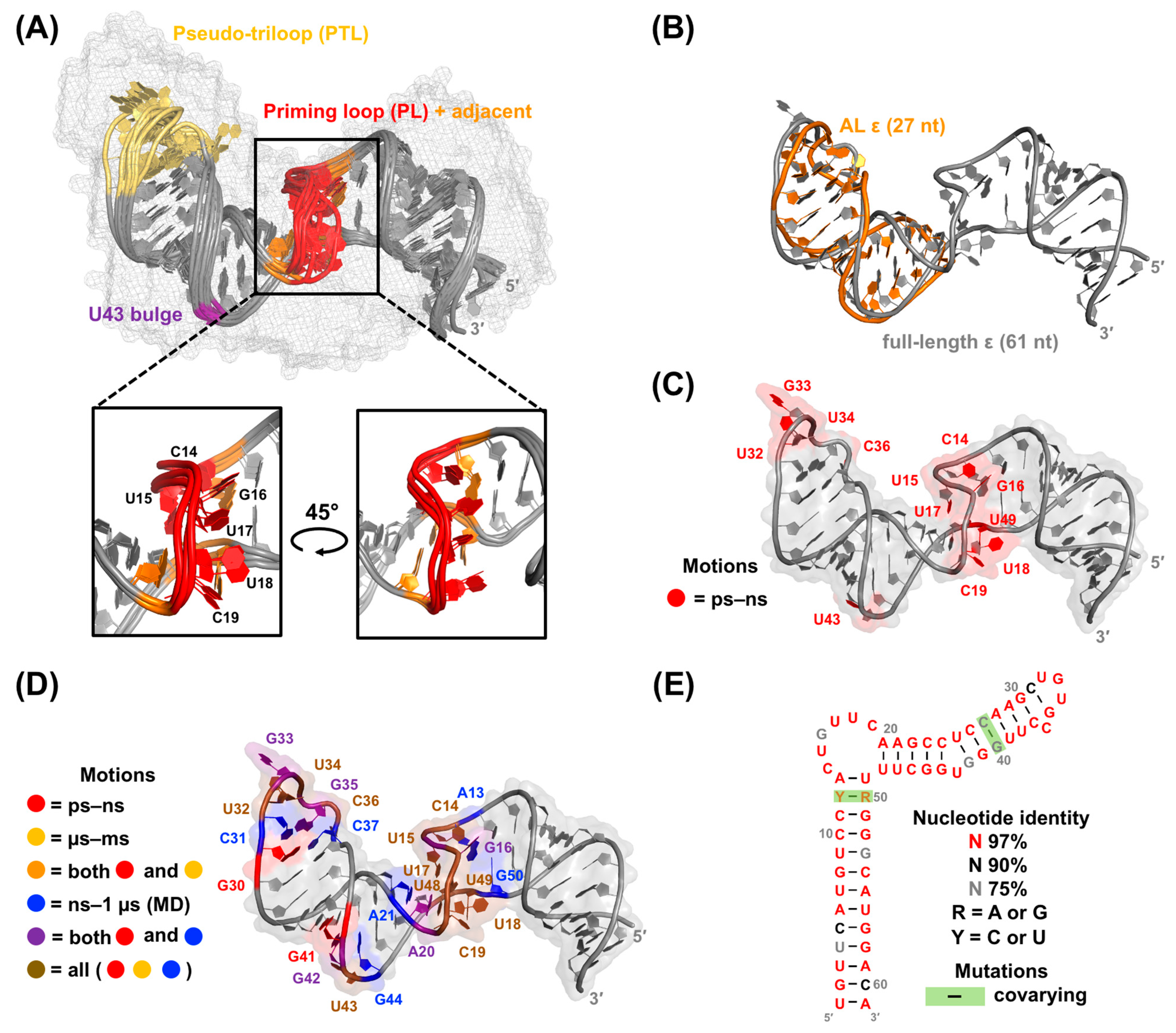 Viruses 15 01913 g009 Viruses 15 01913 g009