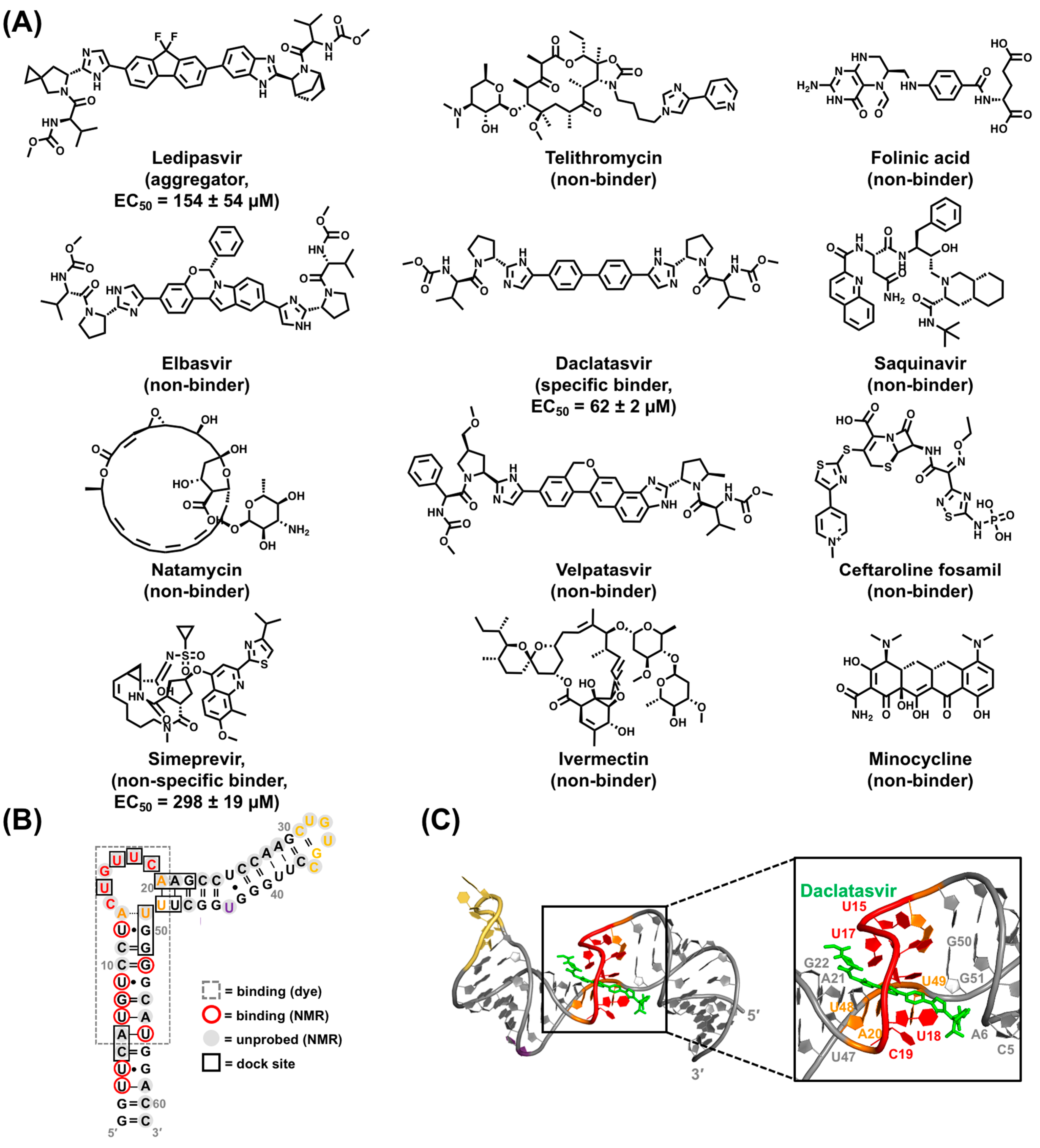 Viruses 15 01913 g012 Viruses 15 01913 g012