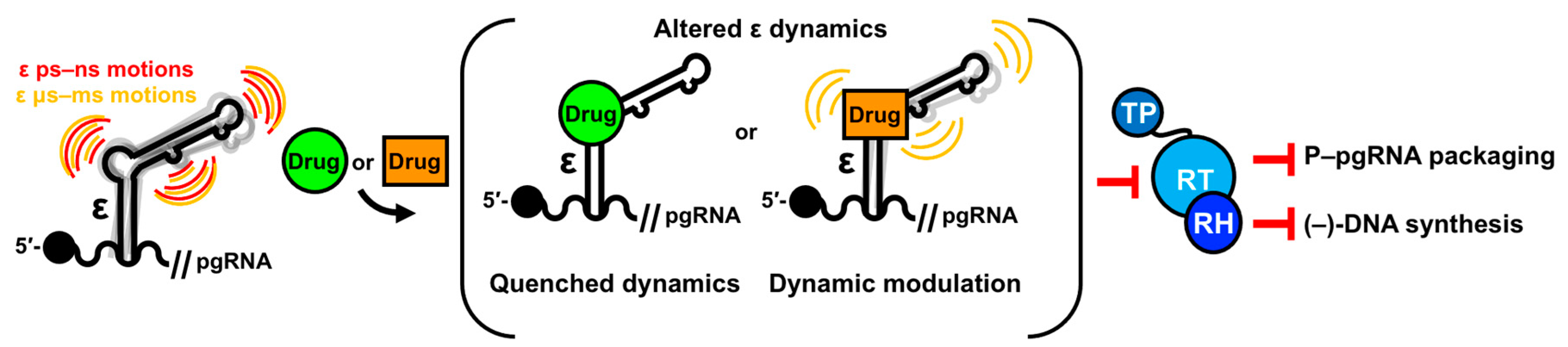 Viruses 15 01913 g013