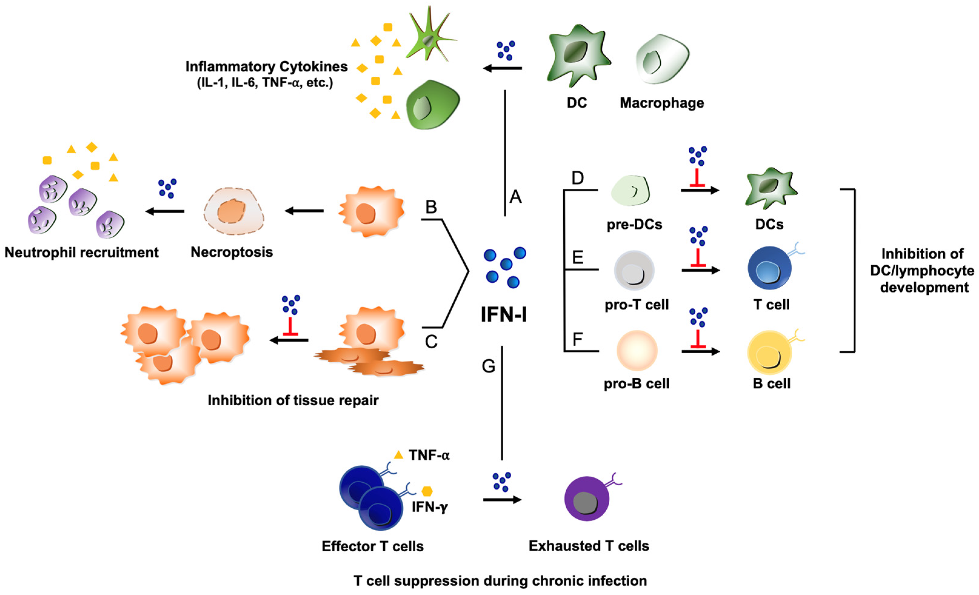 Viruses 15 01916 g002