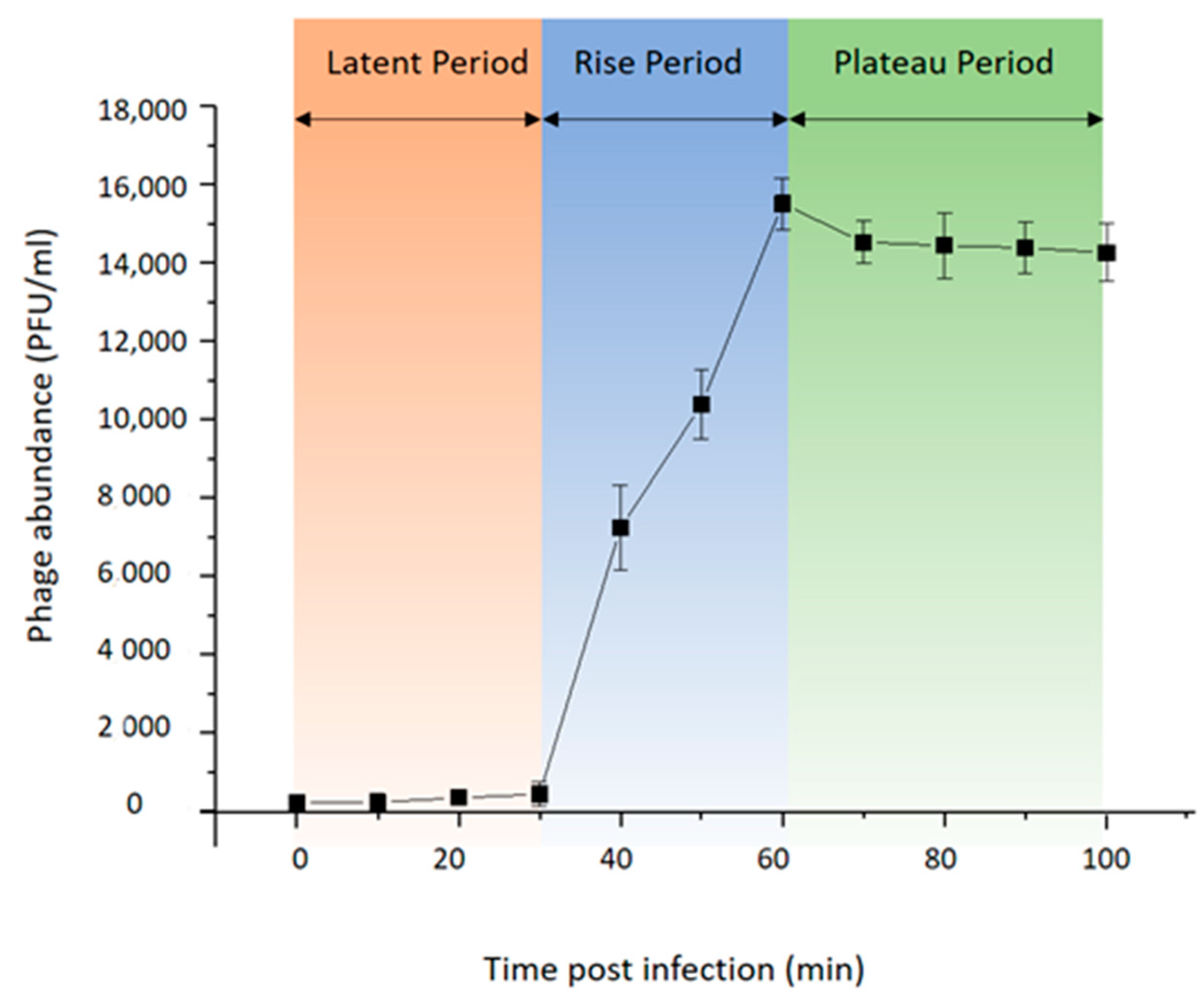 Viruses 15 01919 g002