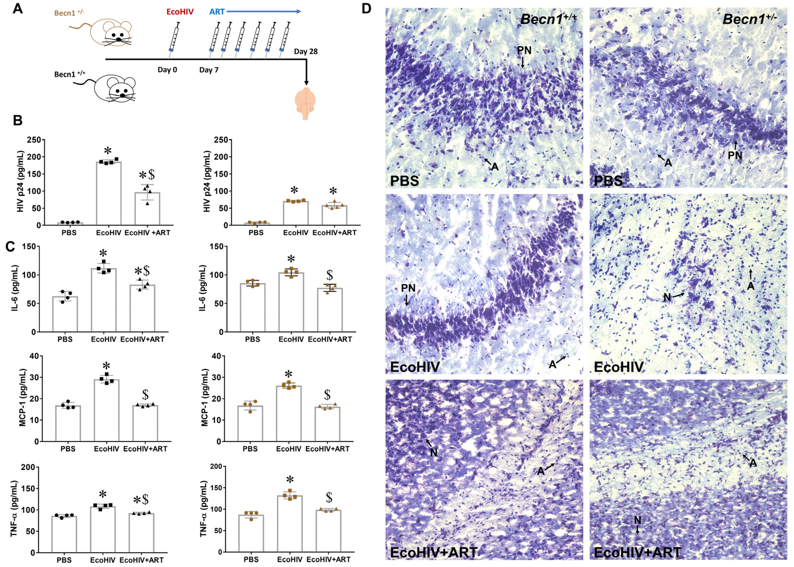 Viruses 15 01923 g004