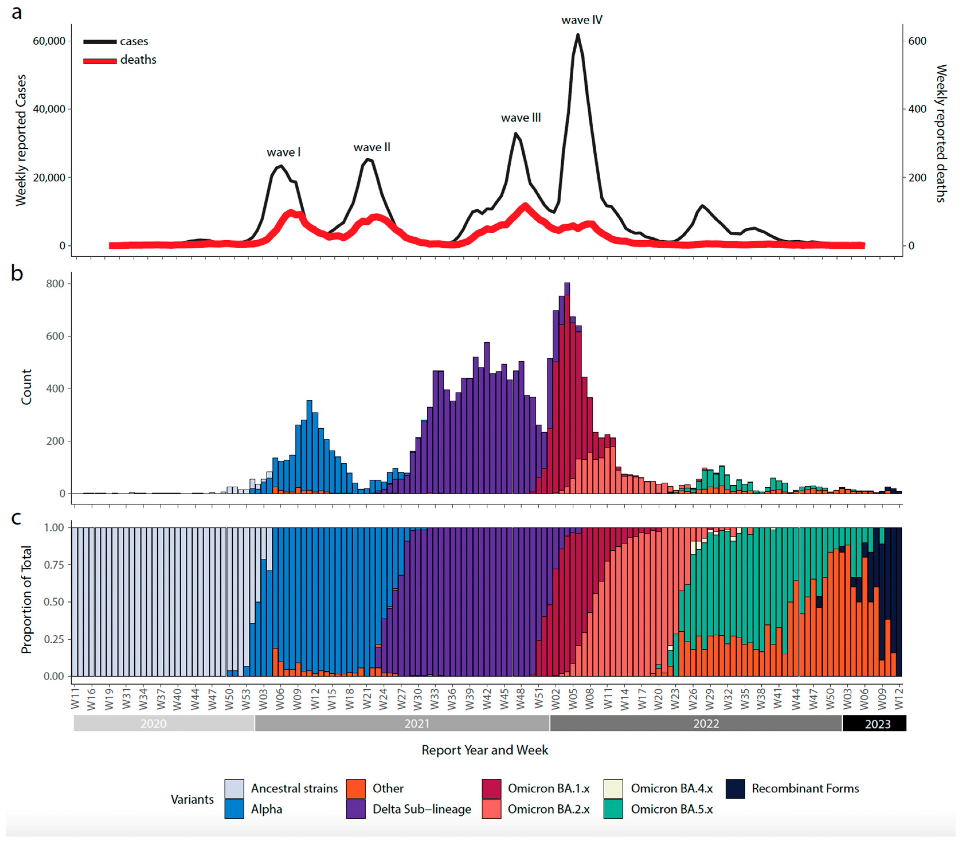 Viruses 15 01924 g002