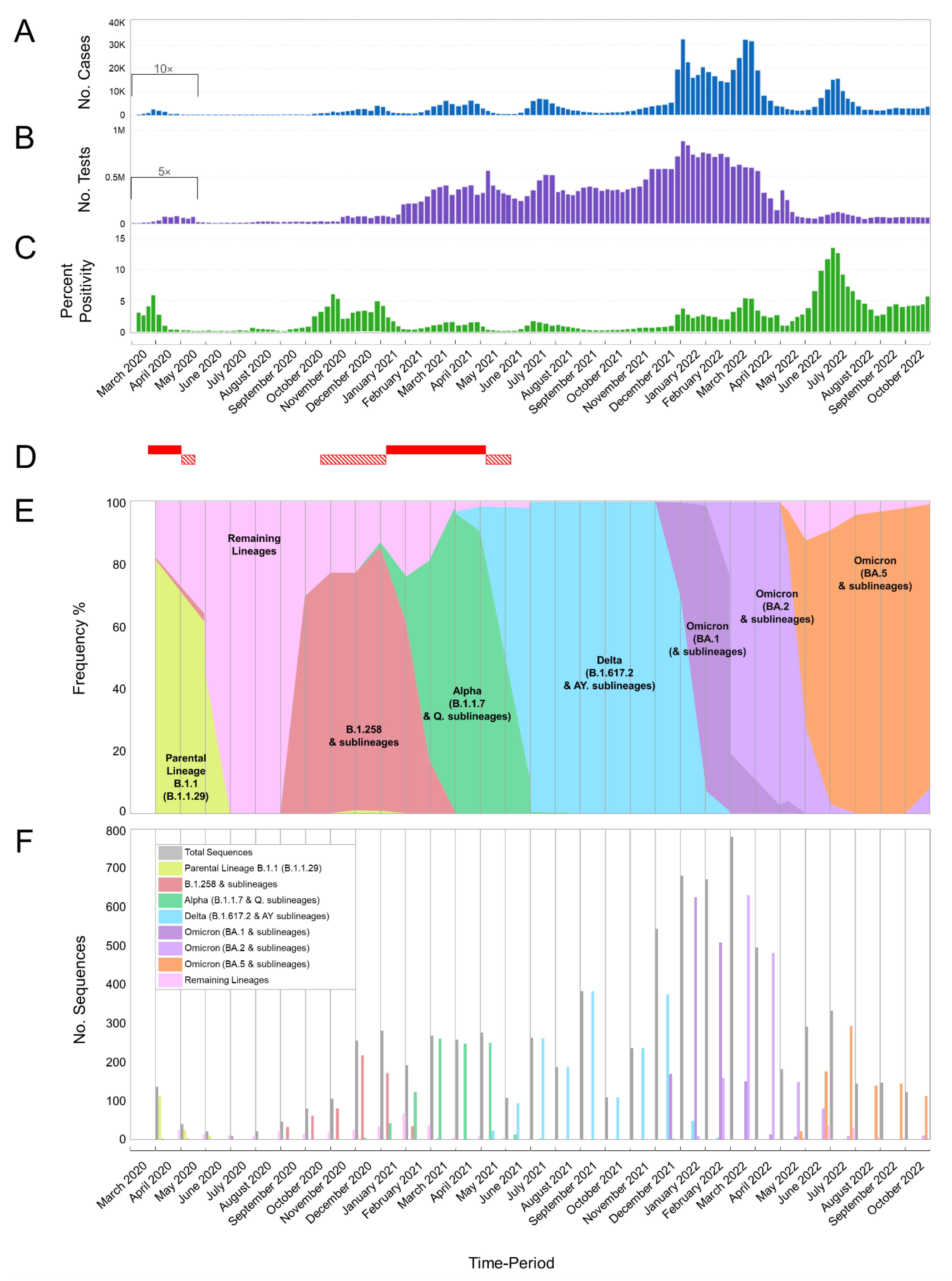 Viruses 15 01933 g001