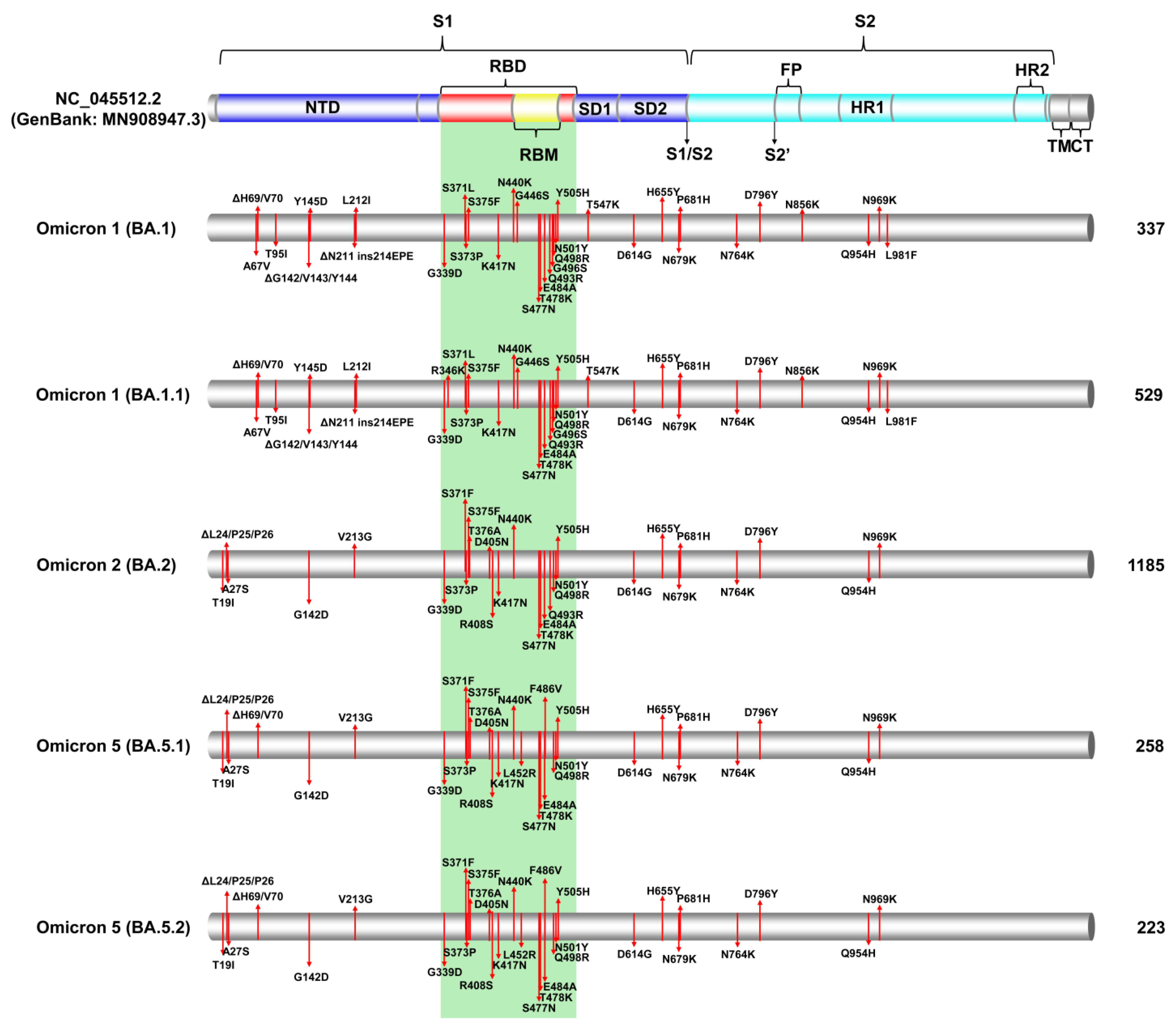 Viruses 15 01933 g003