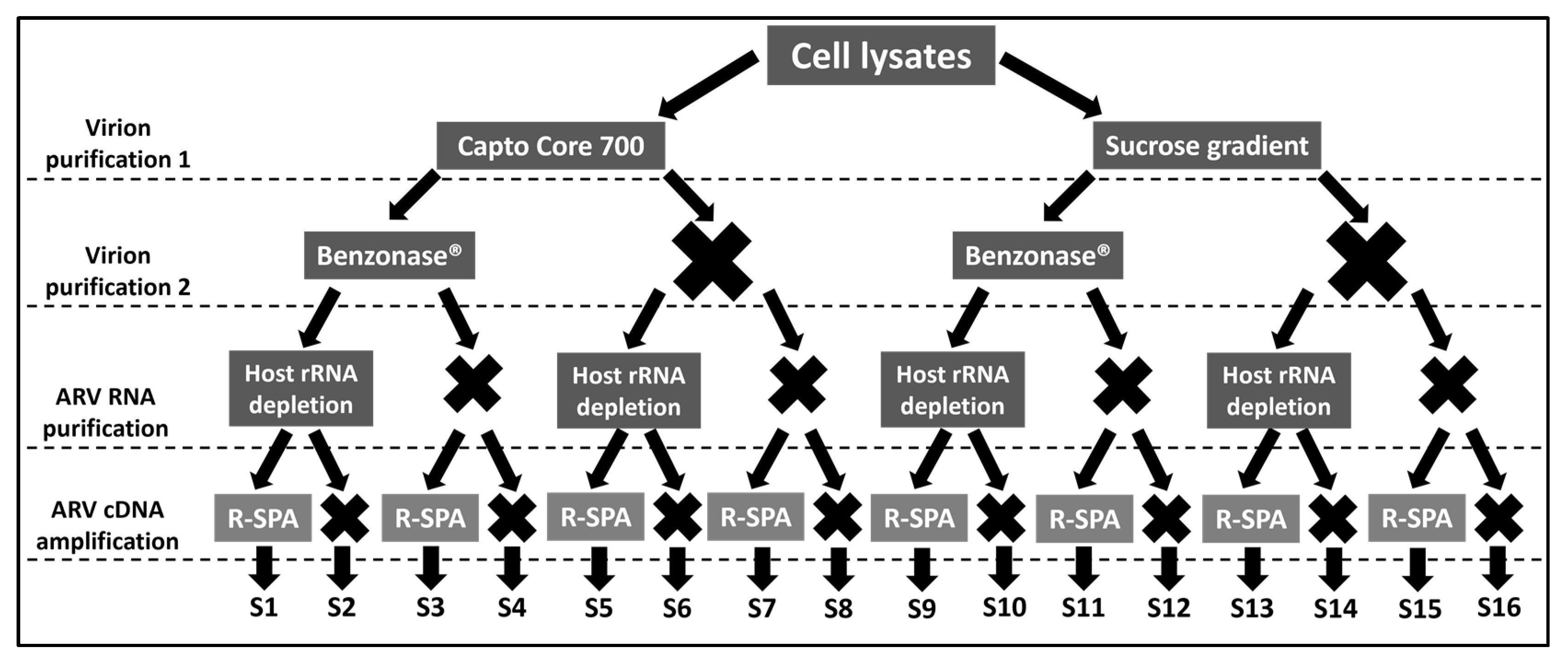 Viruses 15 01938 g001
