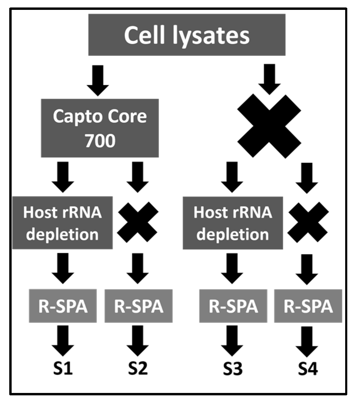 Viruses 15 01938 g003