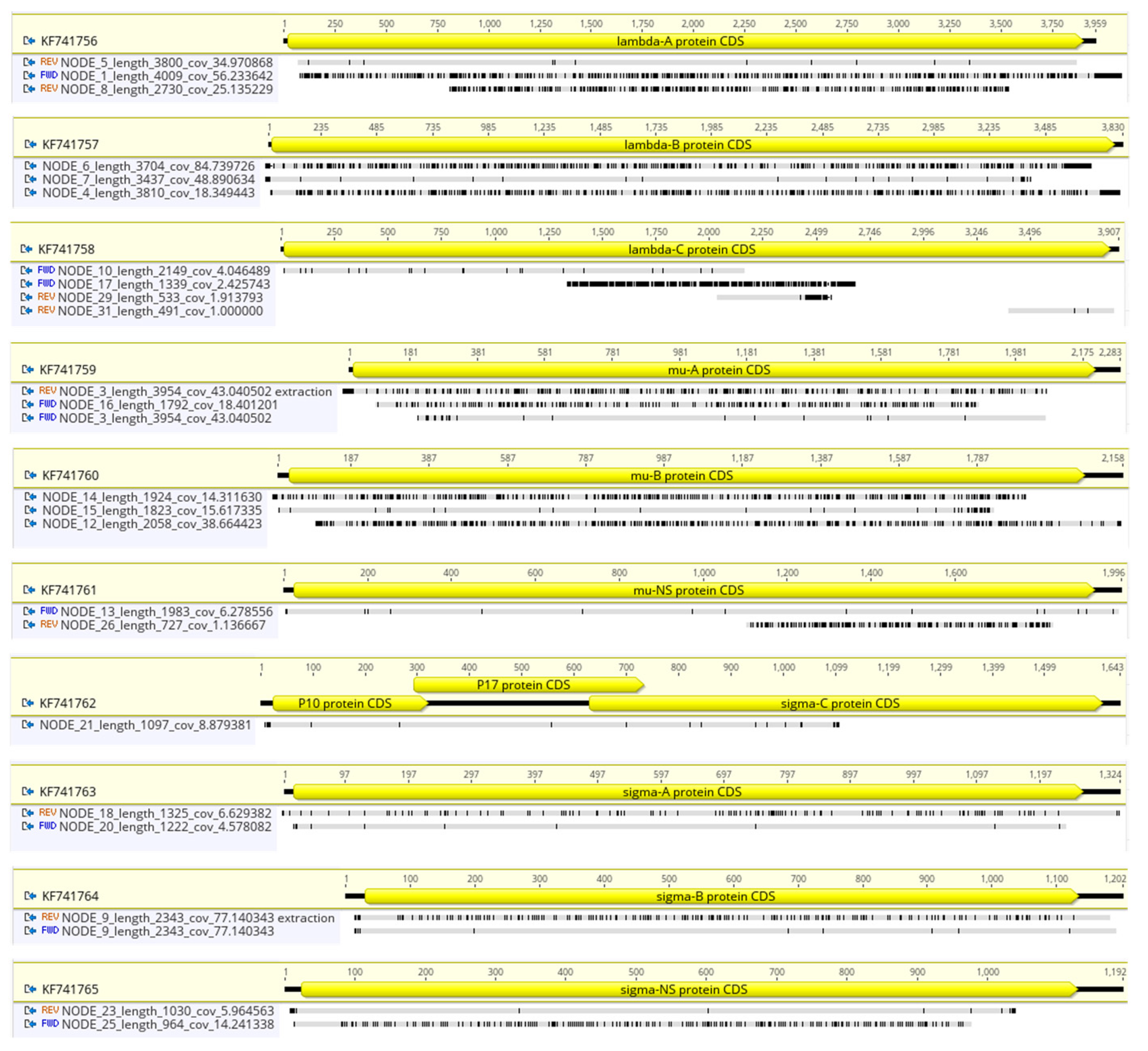 Viruses 15 01938 g005