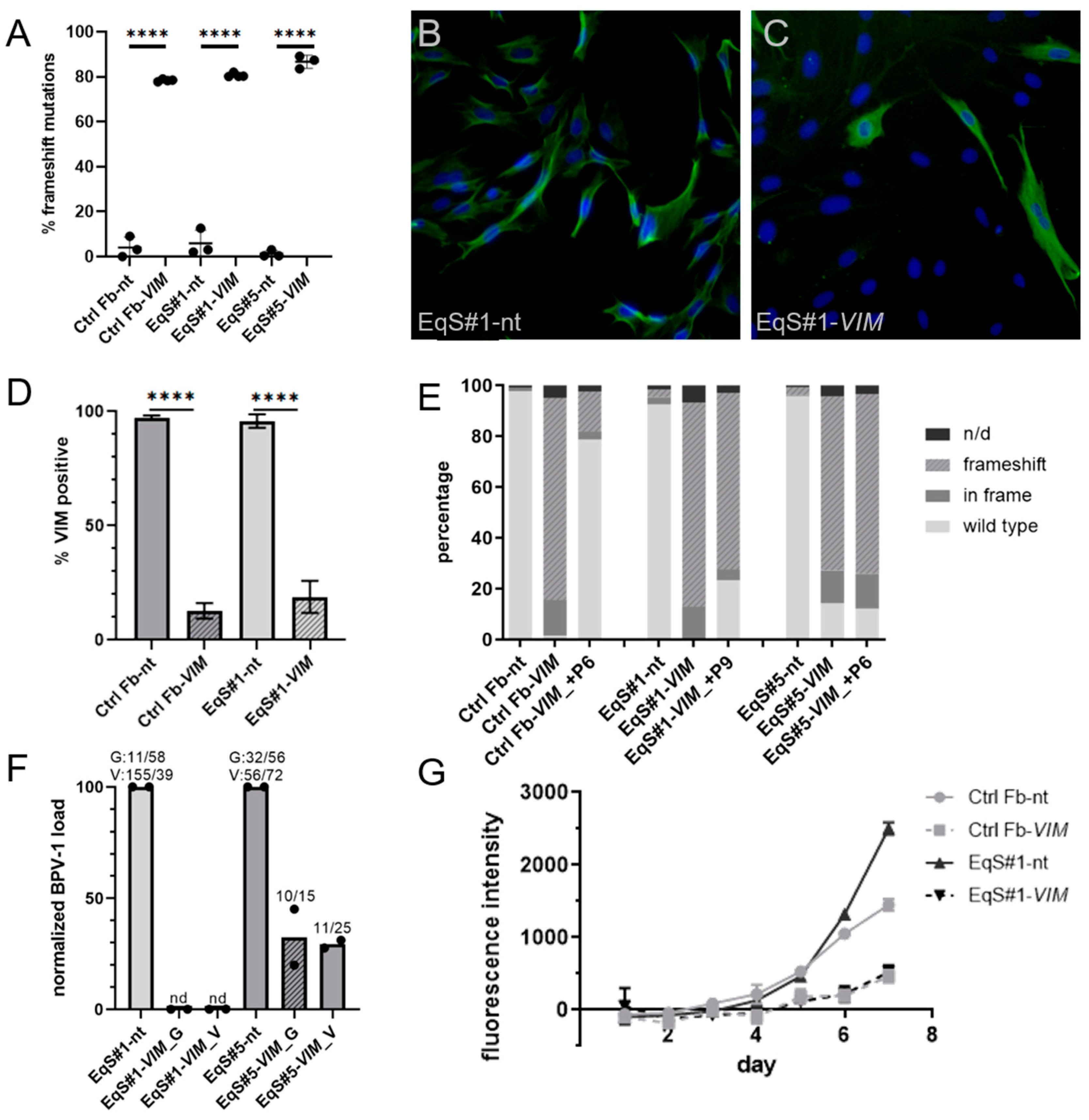 Viruses 15 01942 g003 Viruses 15 01942 g003