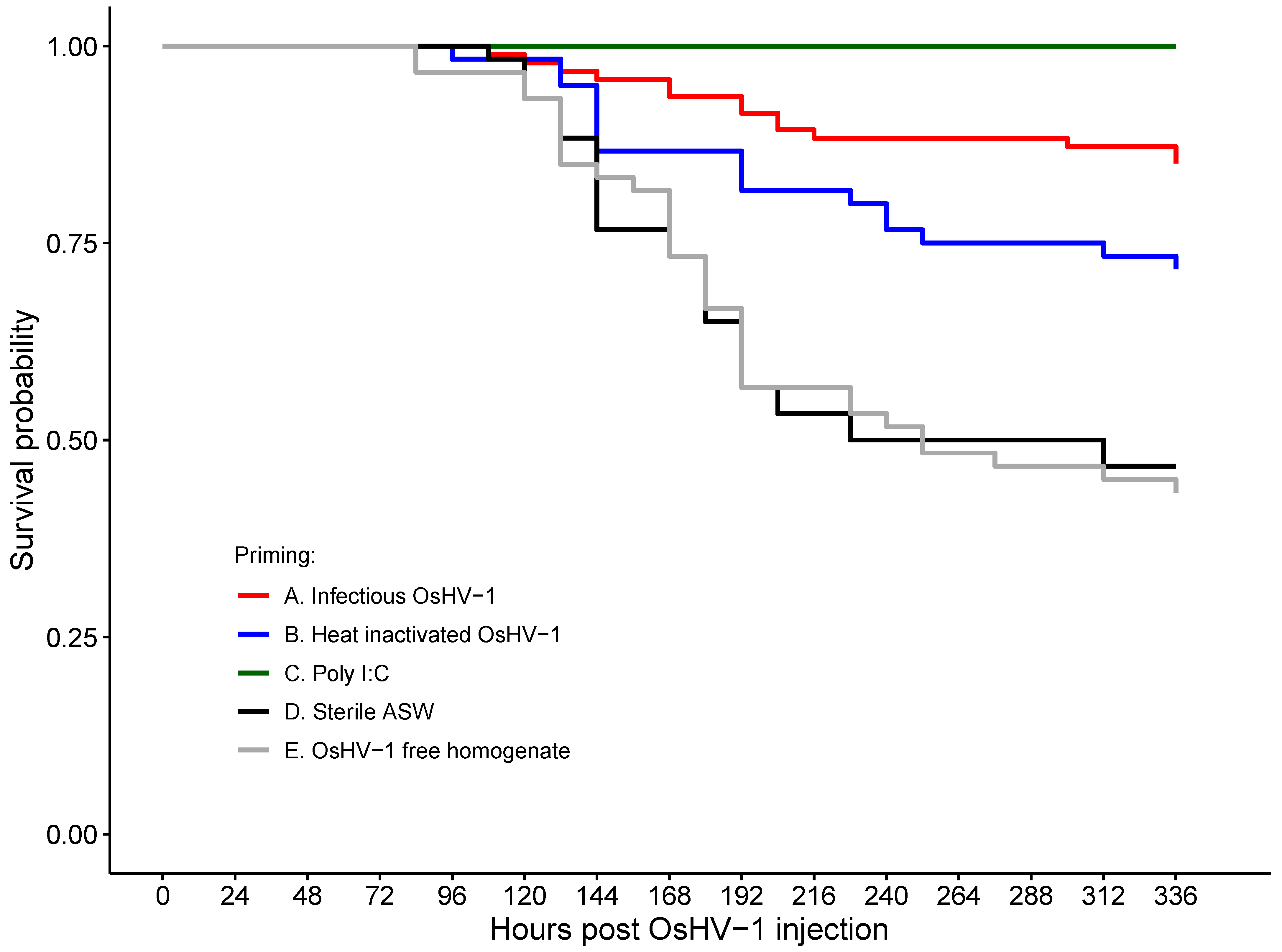 Viruses 15 01943 g002