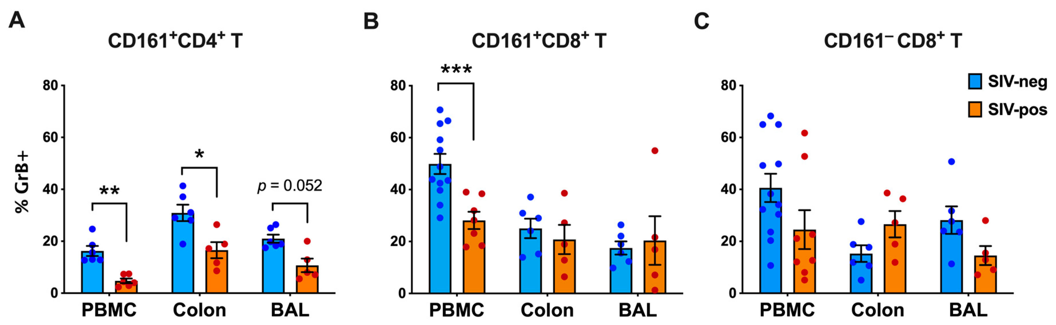 Viruses 15 01944 g008