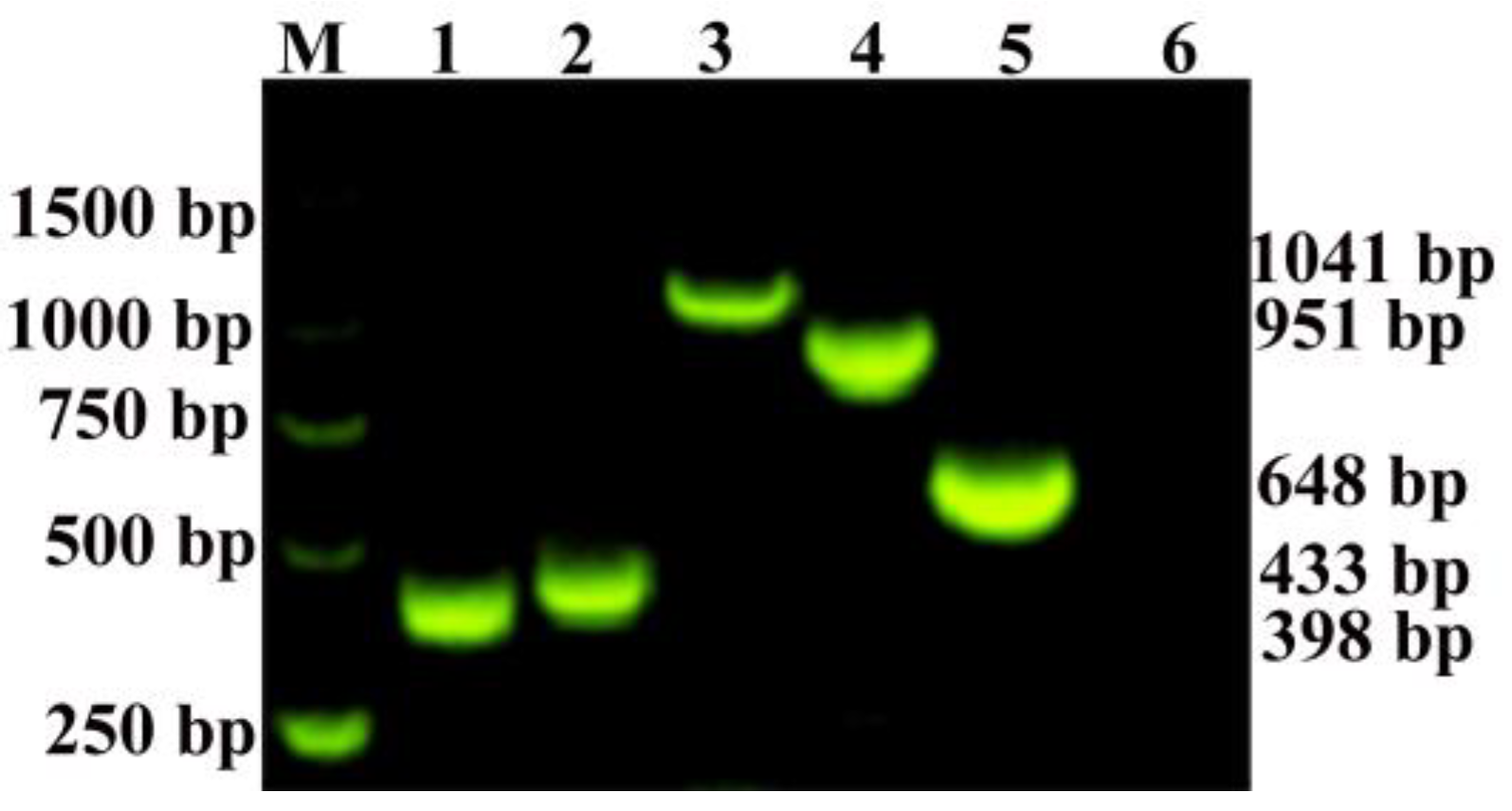Viruses 15 01946 g002