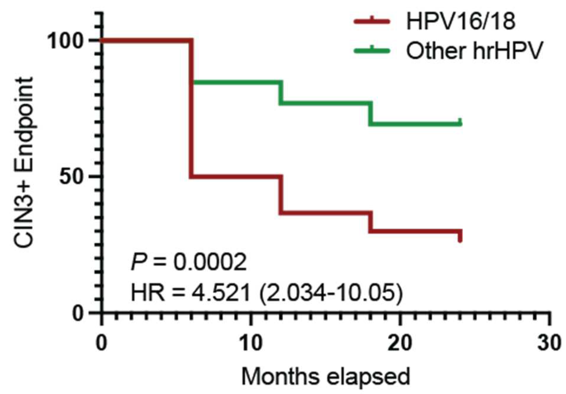 Viruses 15 01953 g001