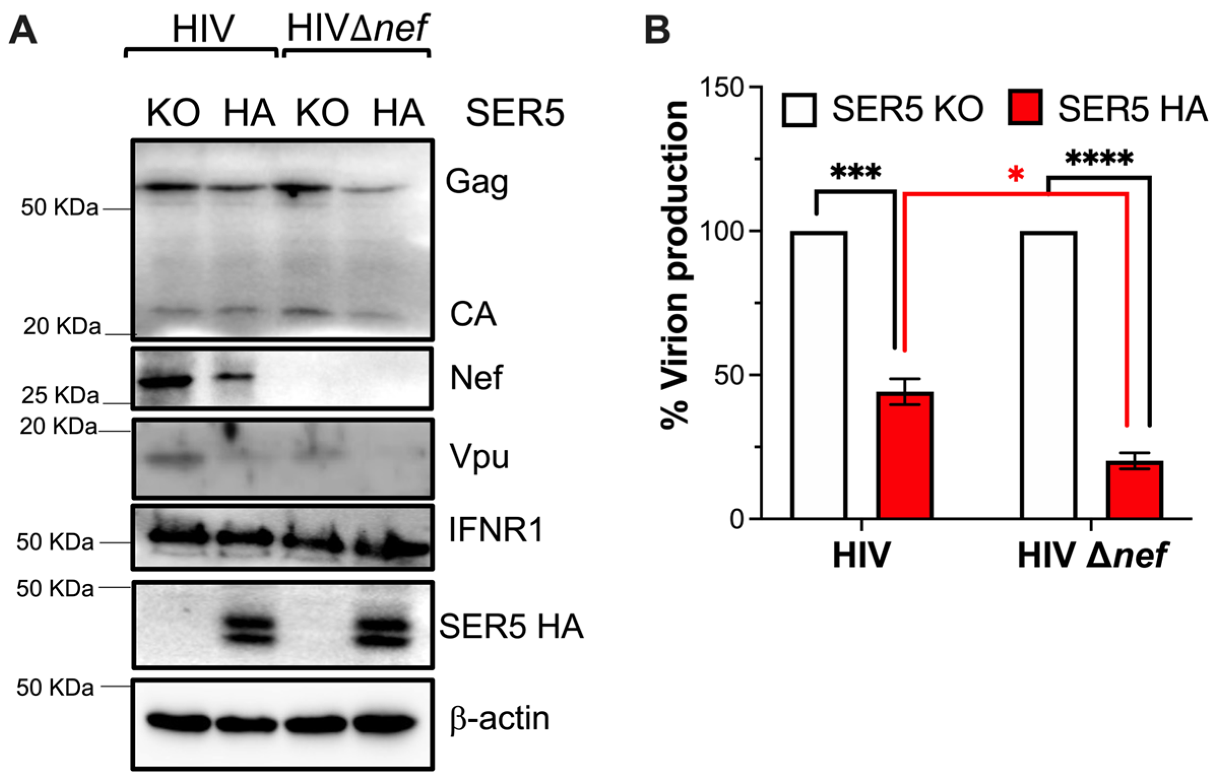 Viruses 15 01961 g004
