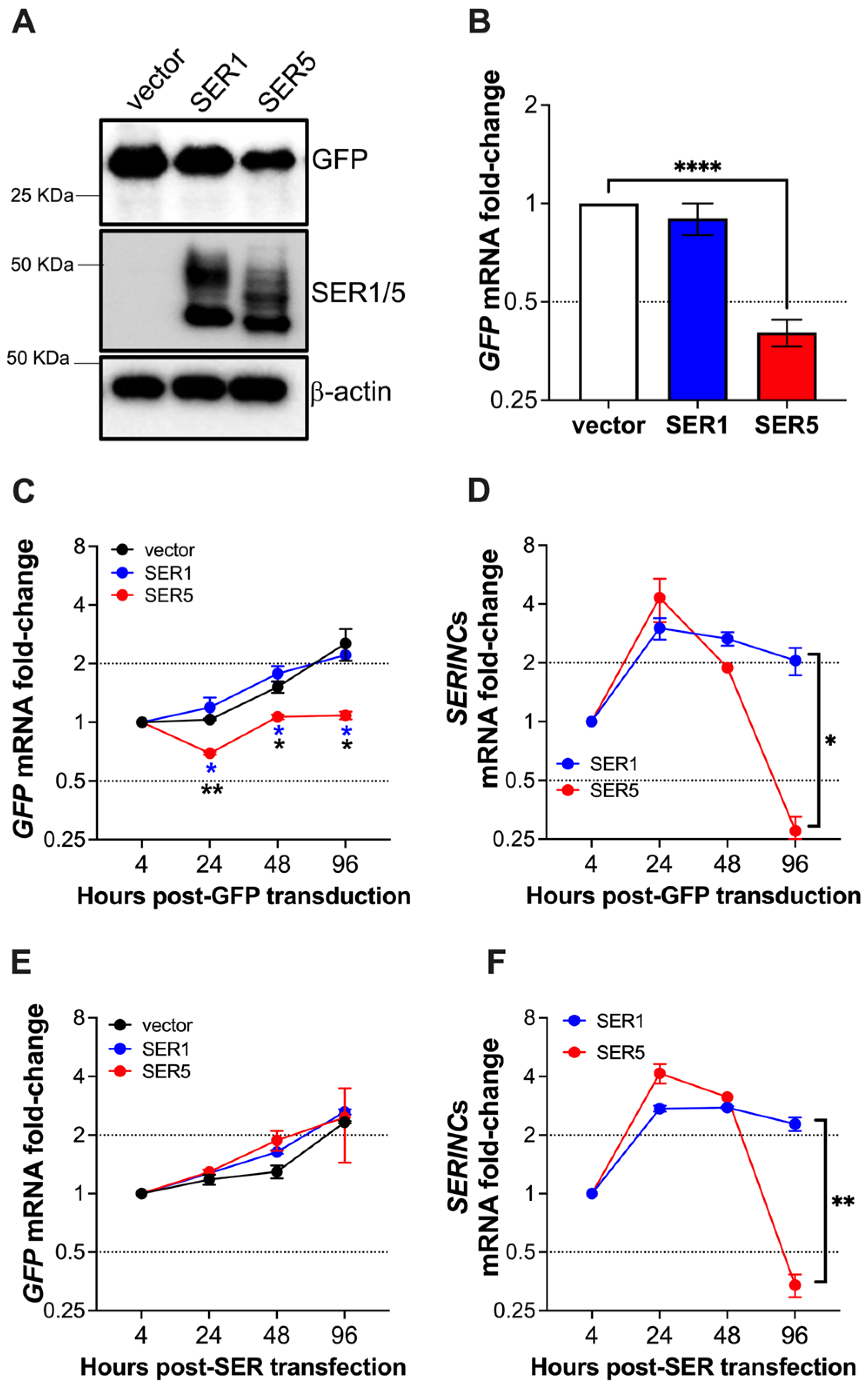Viruses 15 01961 g008