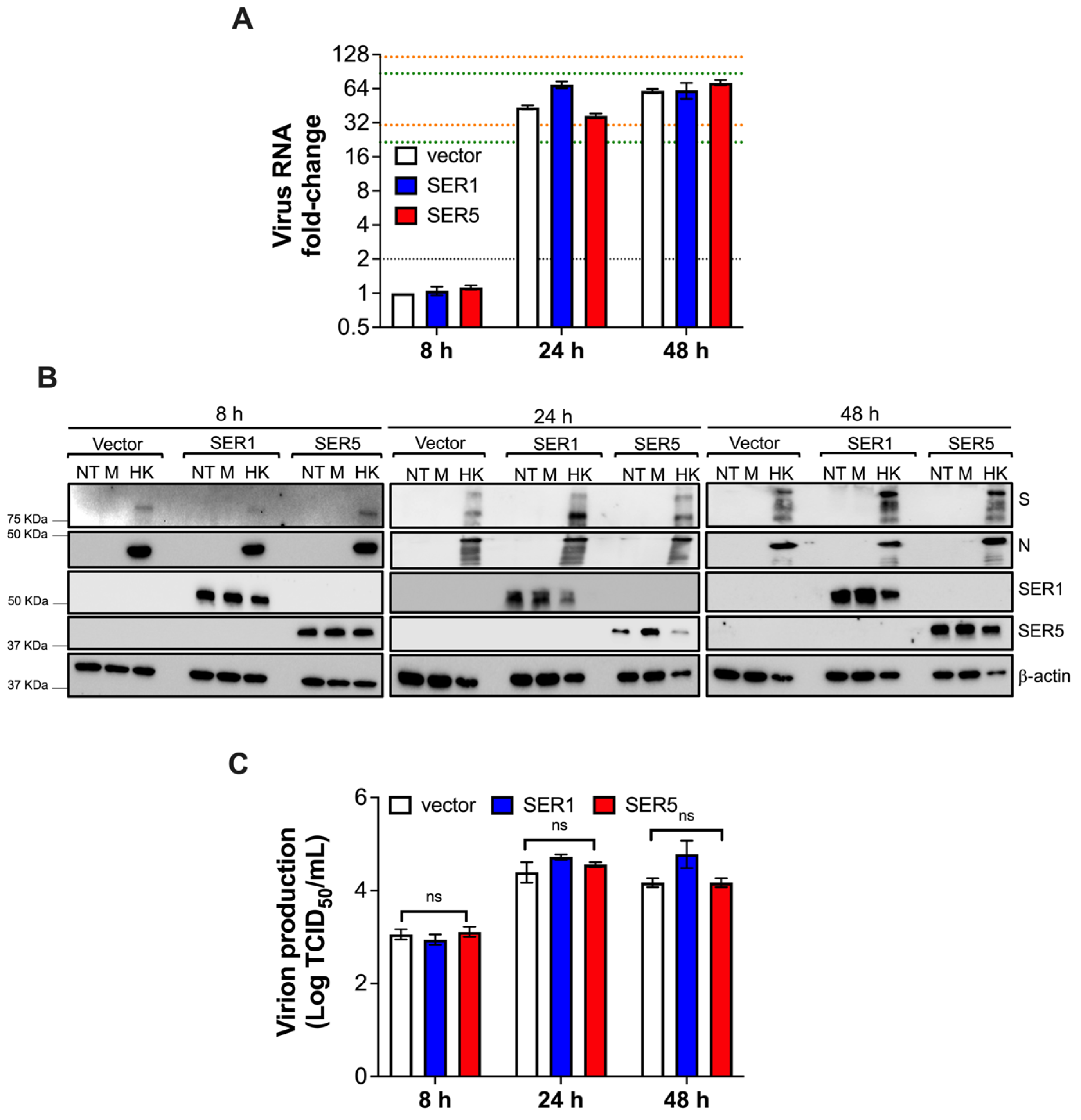 Viruses 15 01961 g011
