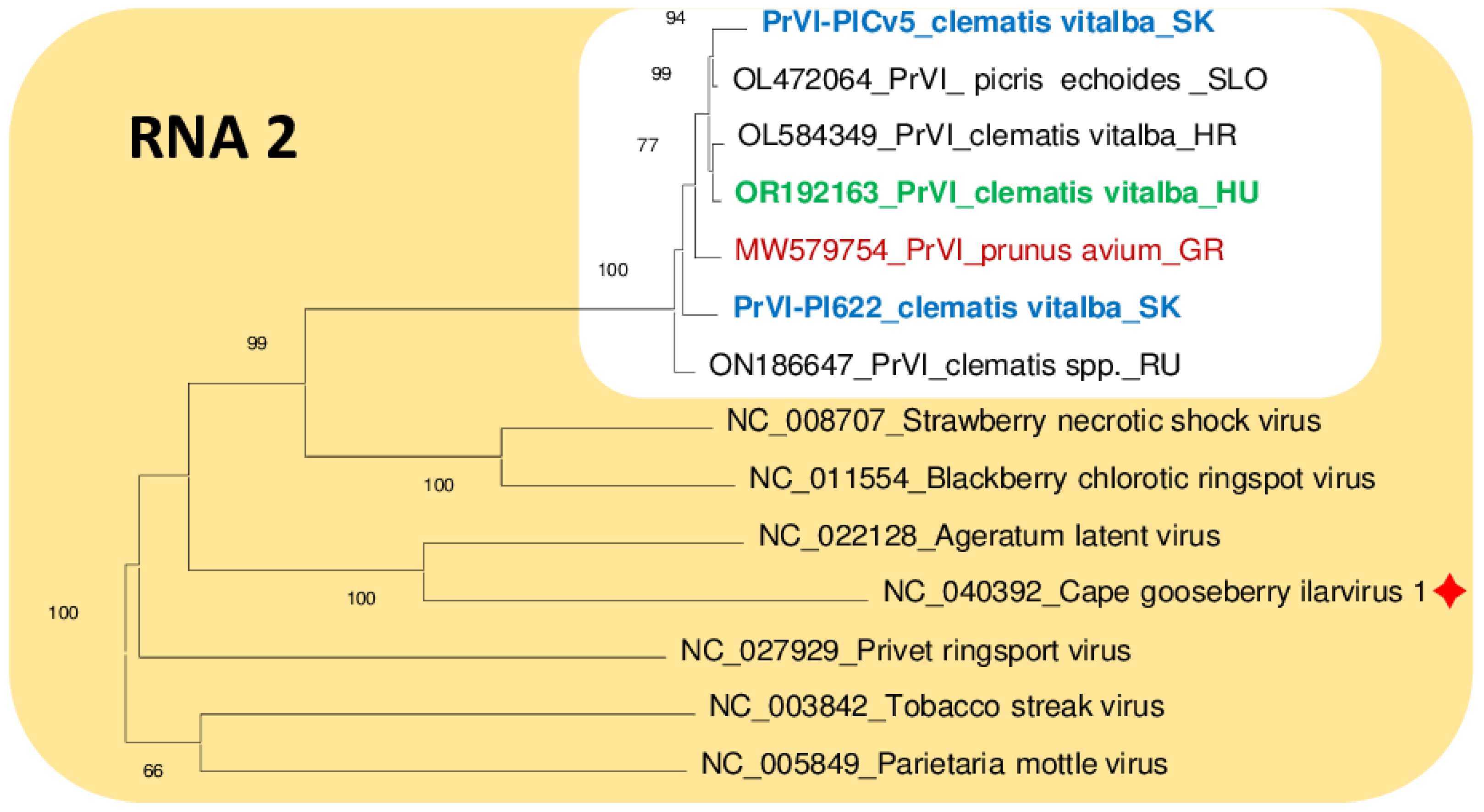 Viruses 15 01964 g006