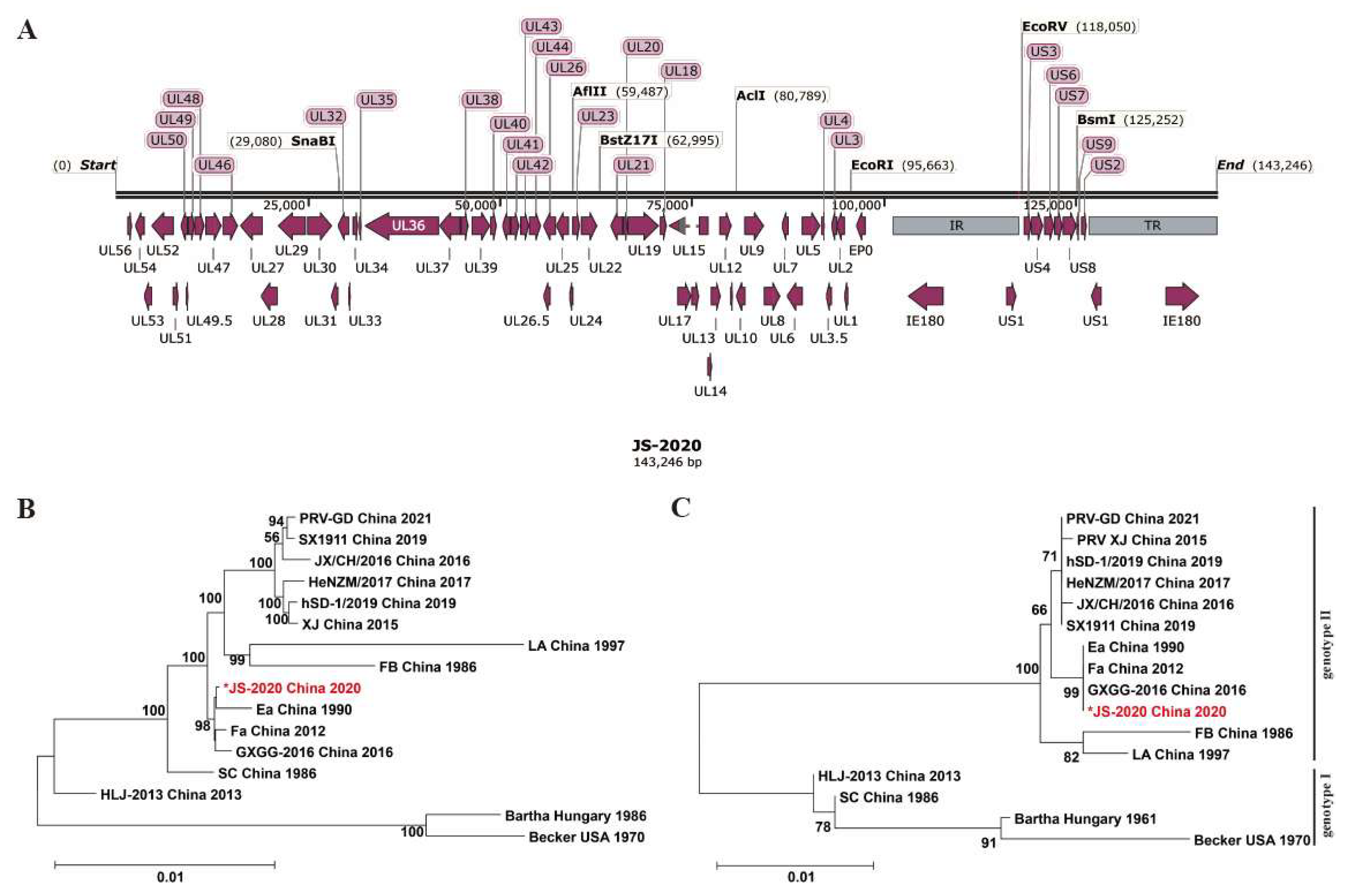 Viruses 15 01966 g002