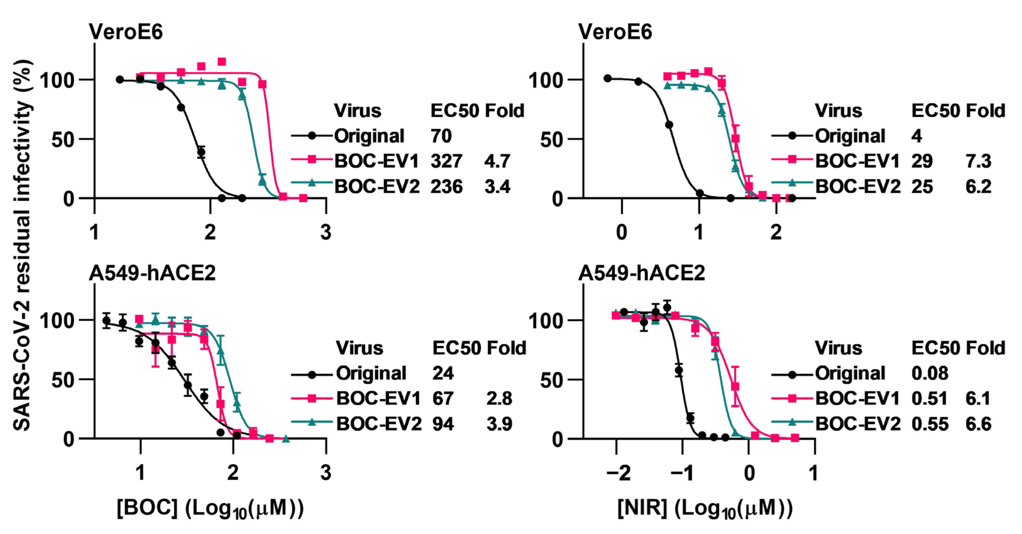 Viruses 15 01970 g001