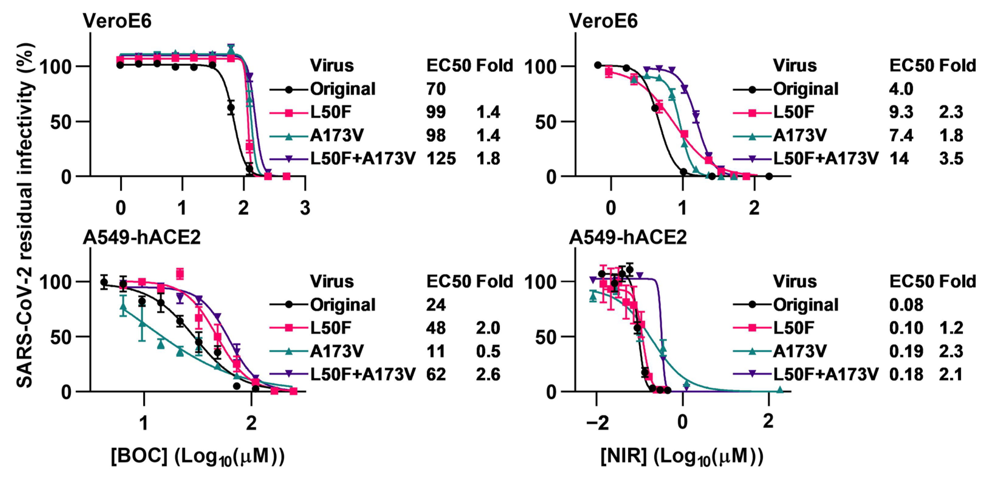 Viruses 15 01970 g003