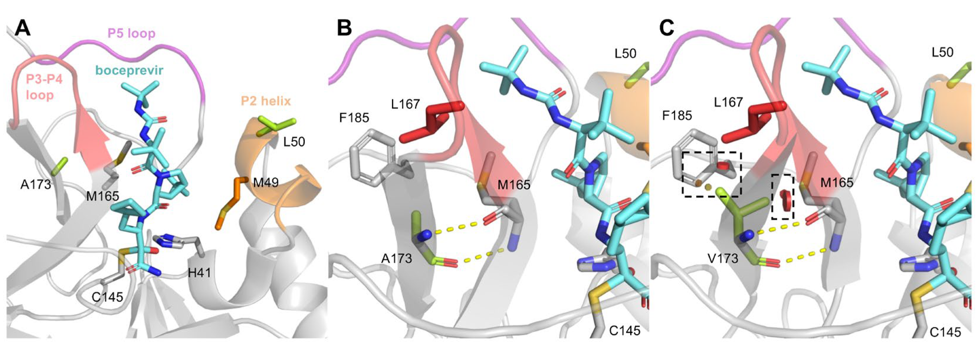 Viruses 15 01970 g008