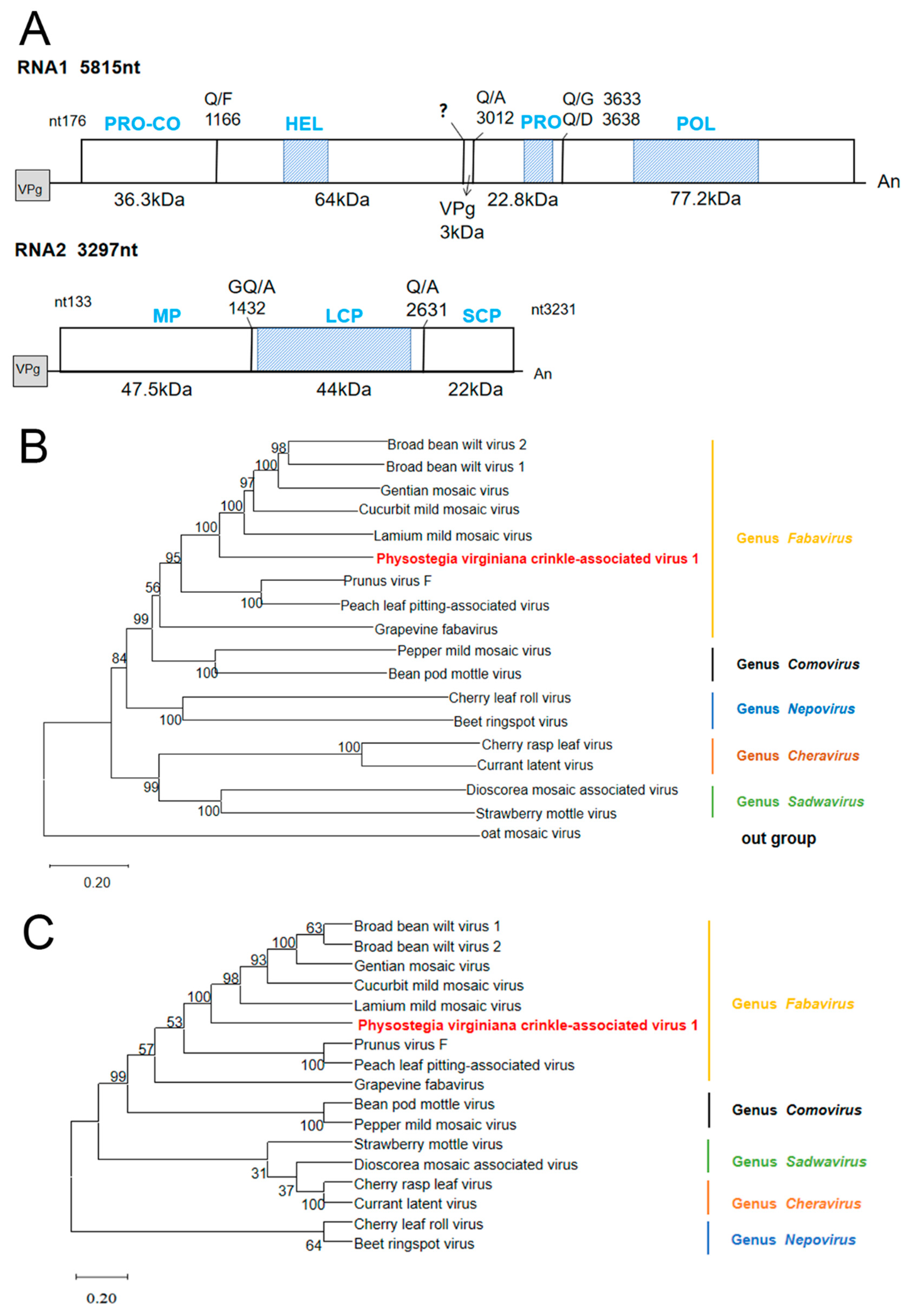 Viruses 15 01972 g002
