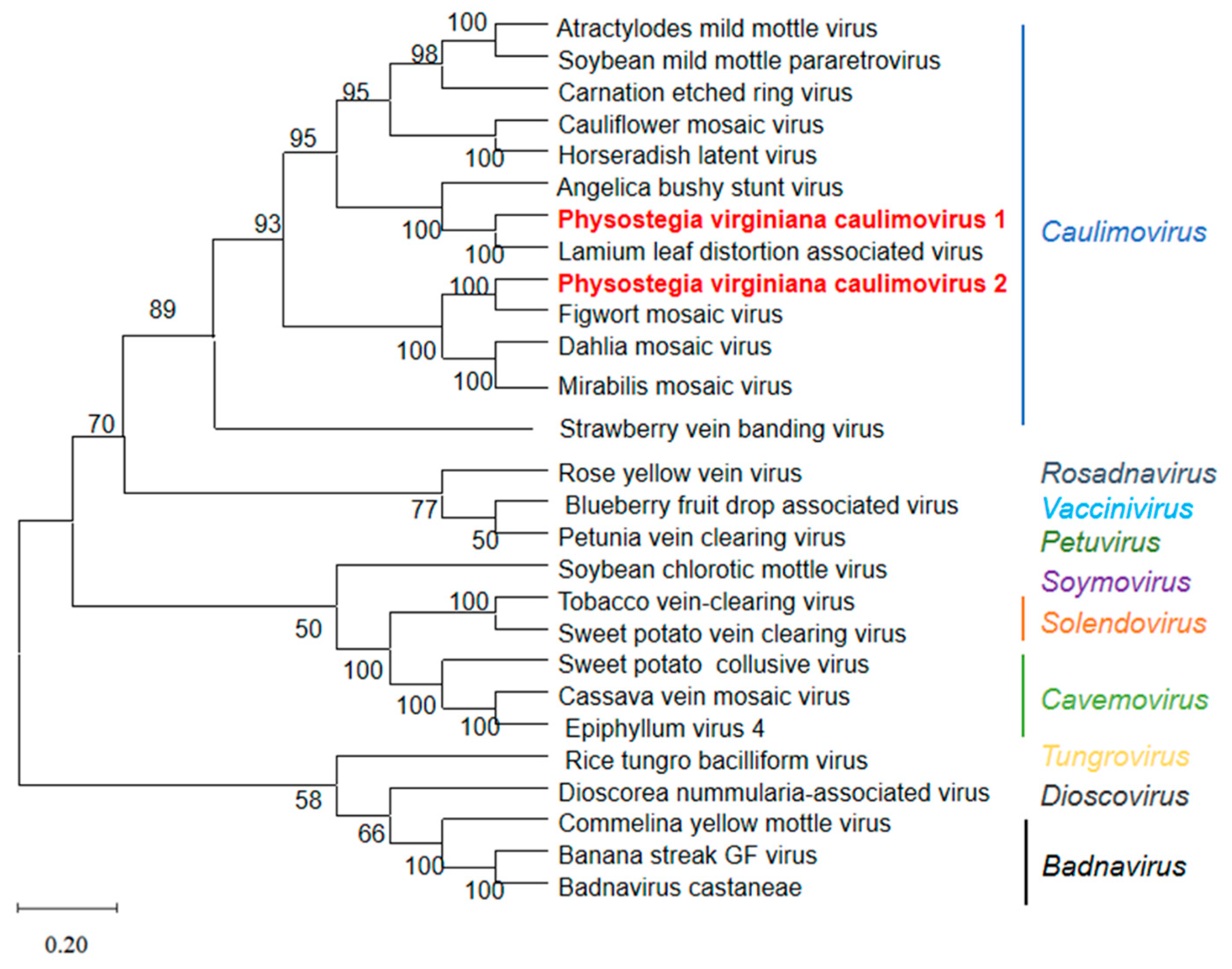 Viruses 15 01972 g004