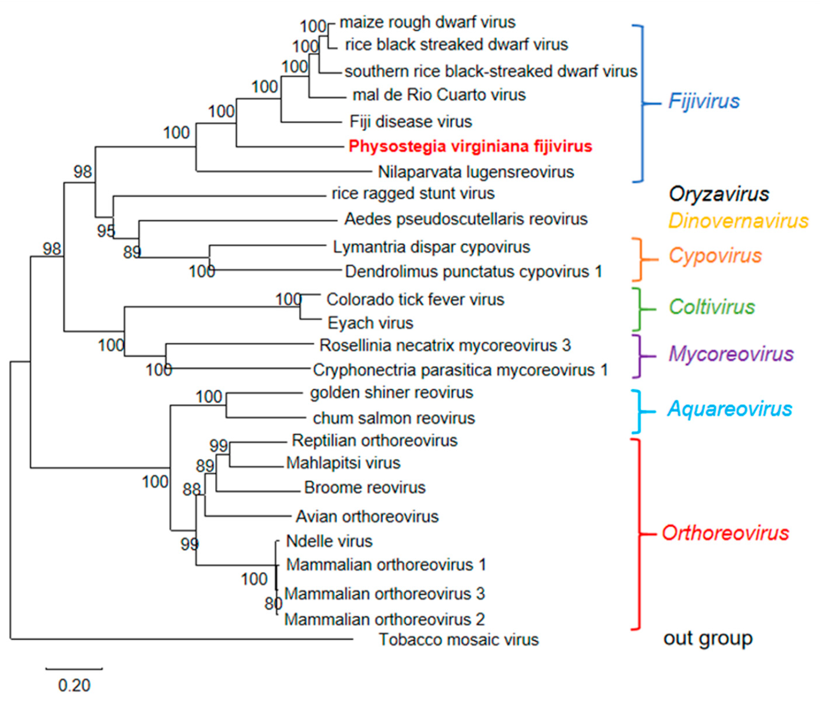 Viruses 15 01972 g005
